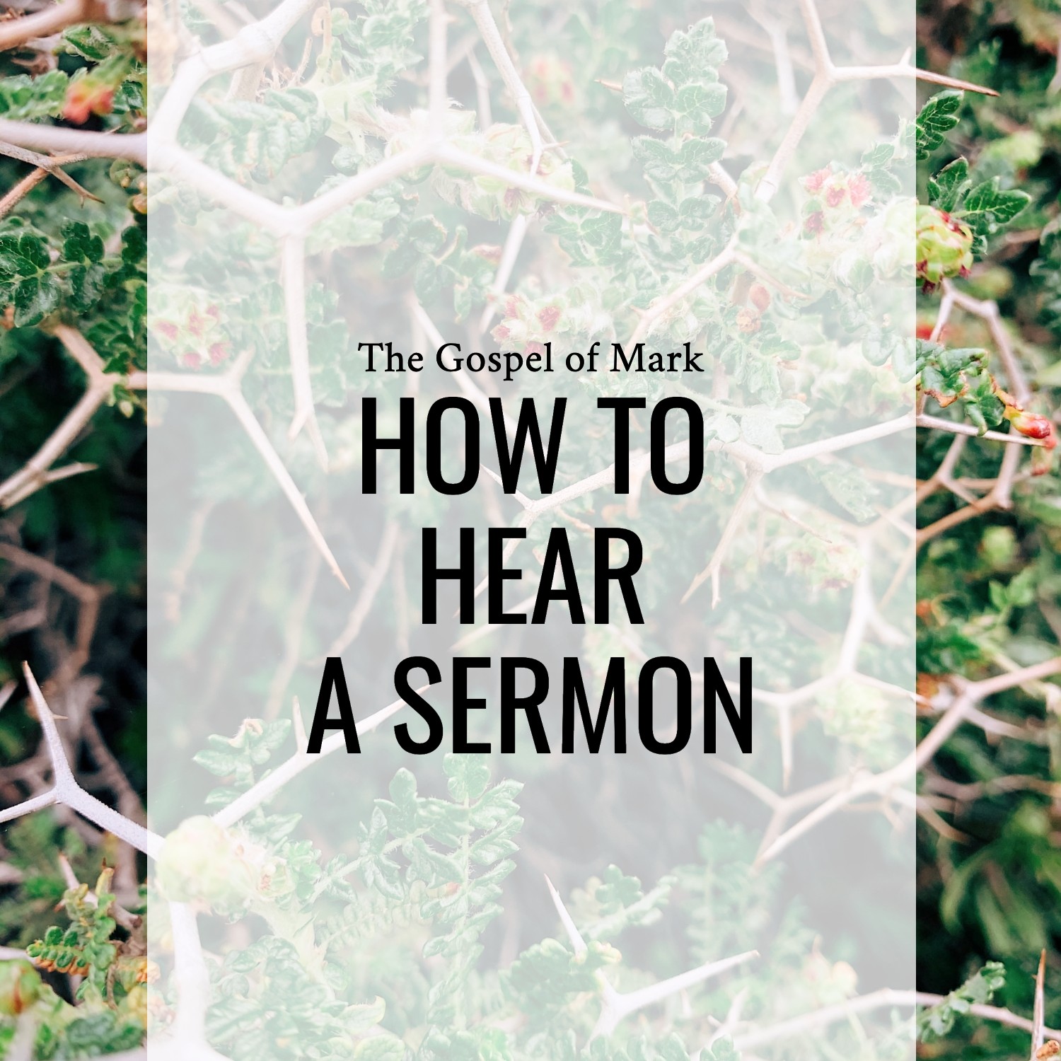 Ep 145 - Mark 4:1-20 | How to Hear a Sermon | Aaron Ventura