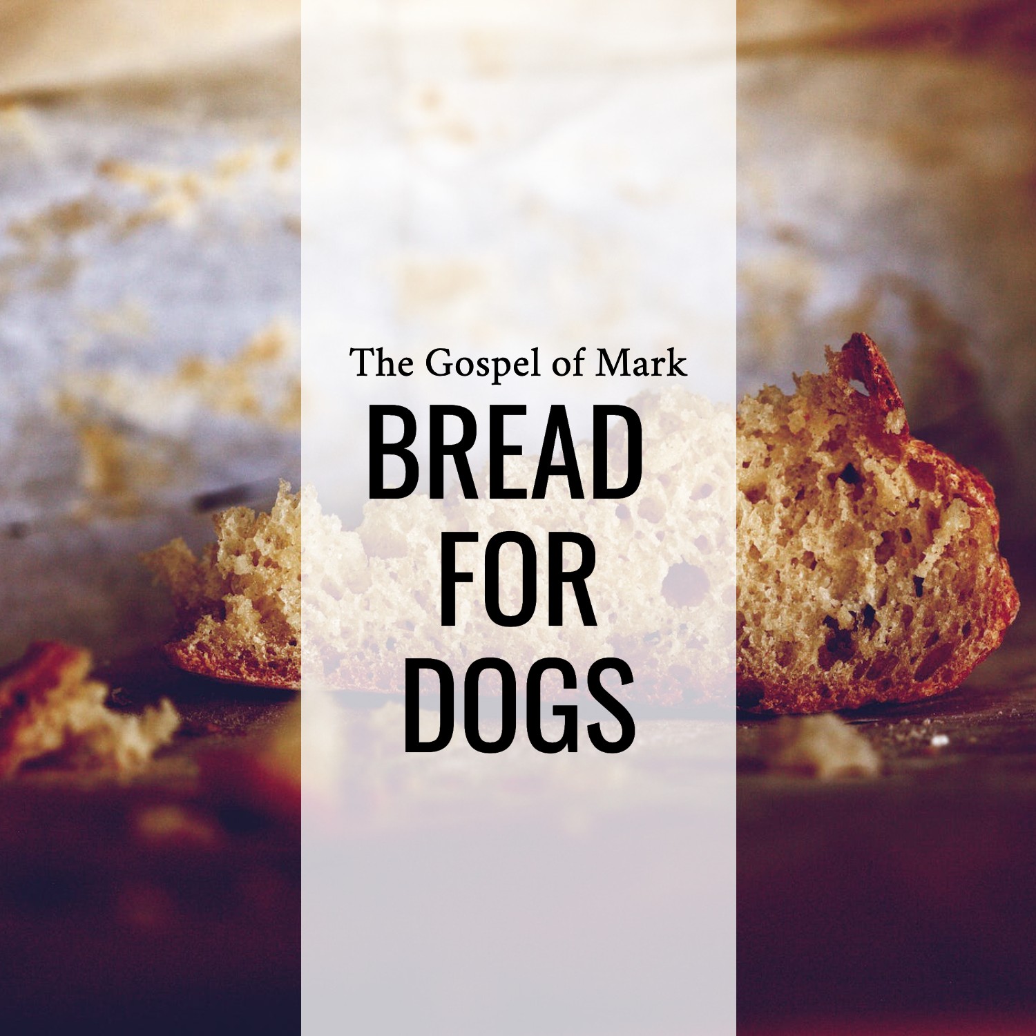 Ep 156 - Mark 7:14-37 | Bread for Dogs | Aaron Ventura