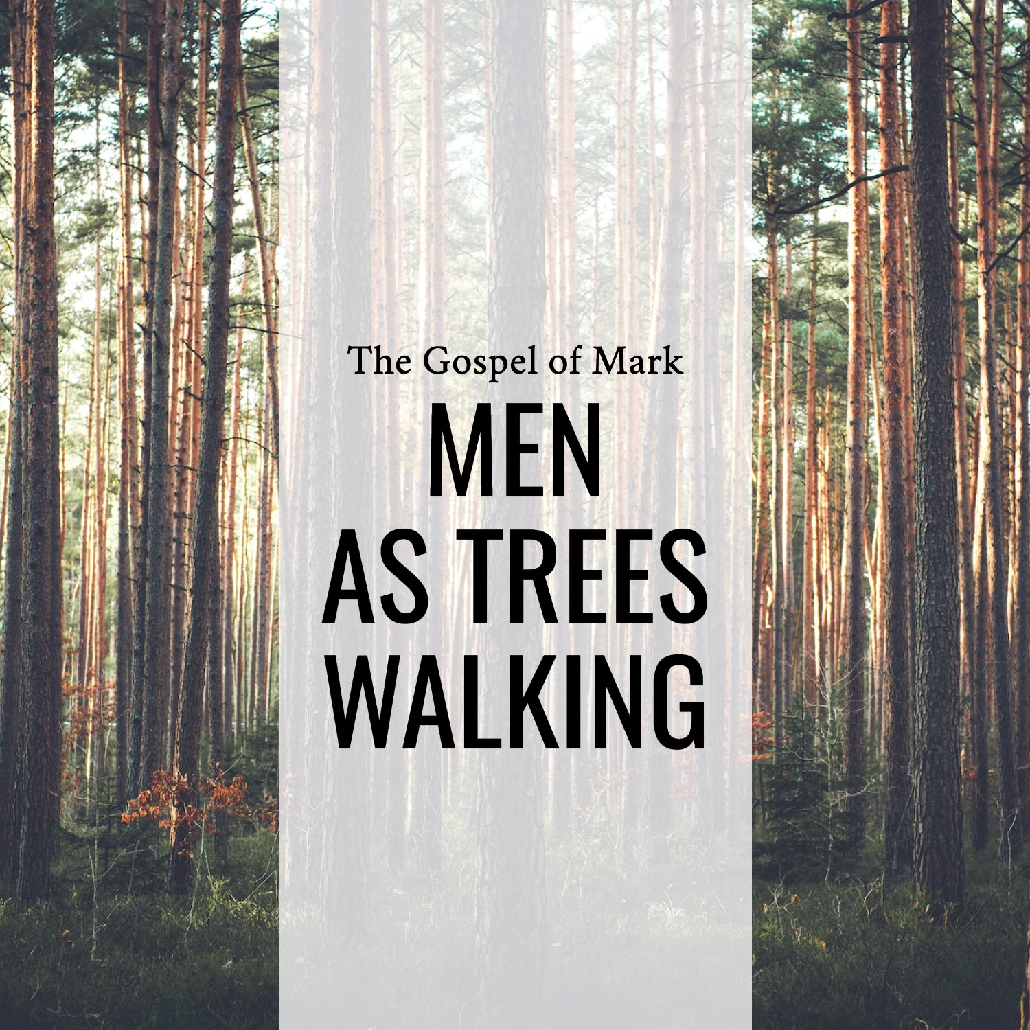 Ep 158 - Mark 8:22-33 | Men Like Trees  | Aaron Ventura