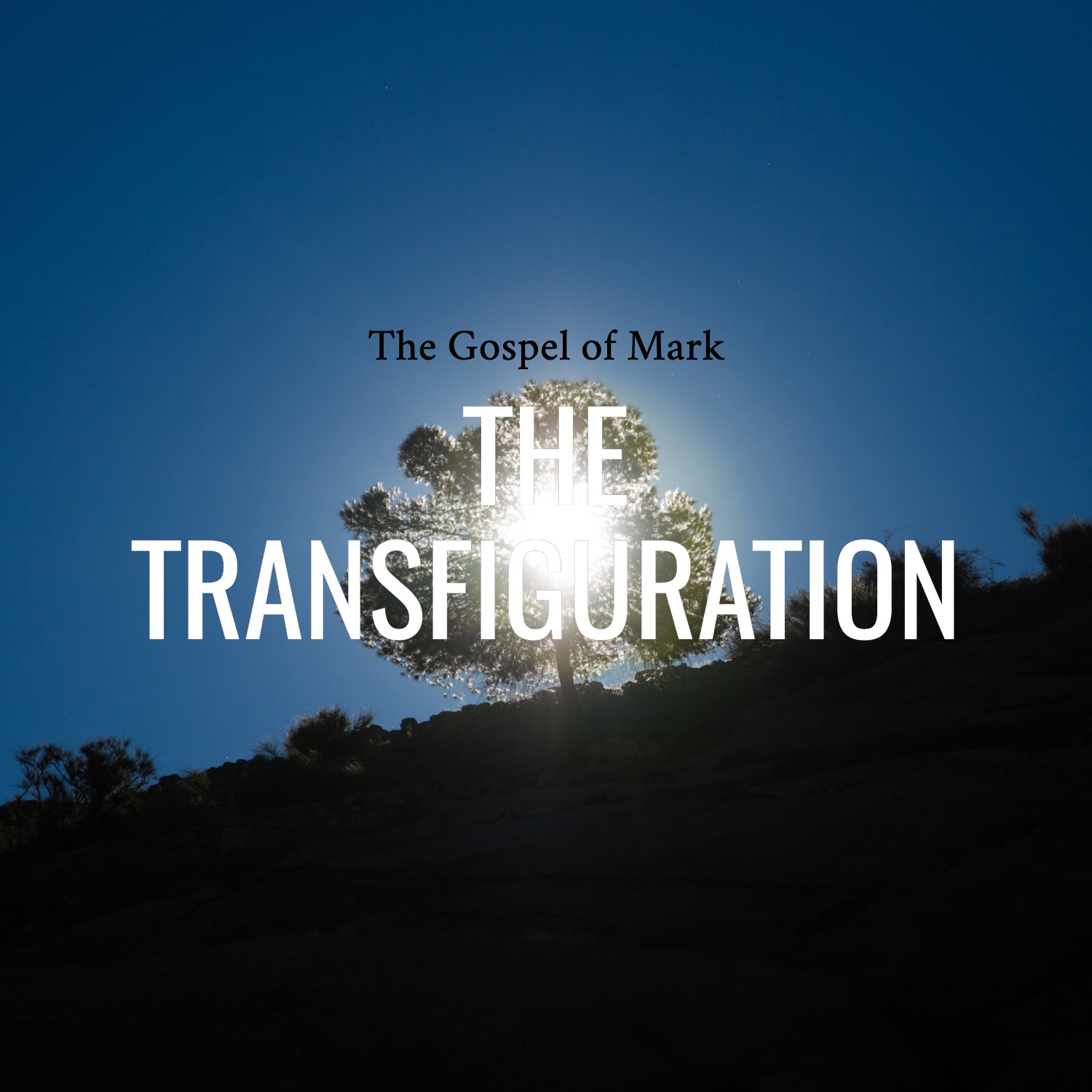 Ep 160 - Mark 9:1-13 | The Transfiguration  | Aaron Ventura