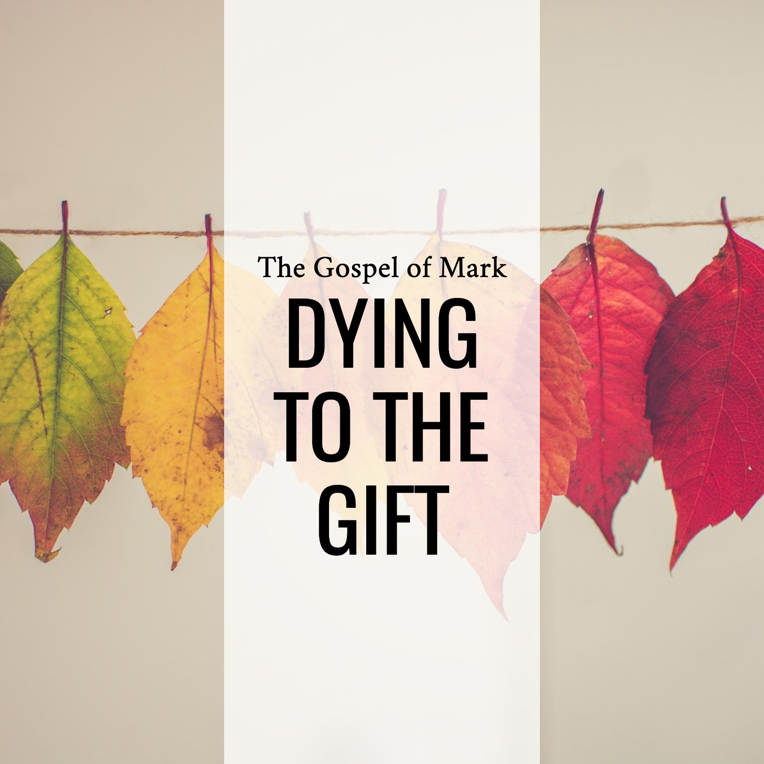 Ep 171 - Mark 10:32-45 | Dying to the Gift  | Aaron Ventura