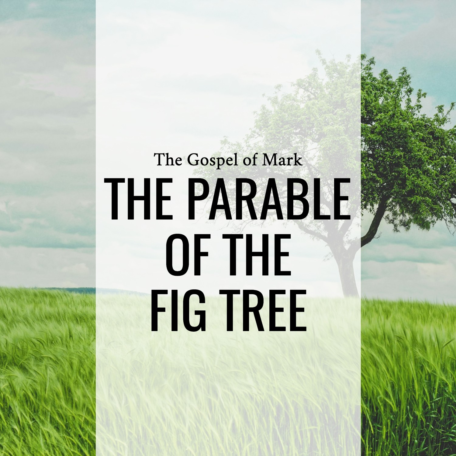 Ep 174 - Mark 11:12-26 | The Parable of the Fig Tree  | Aaron Ventura