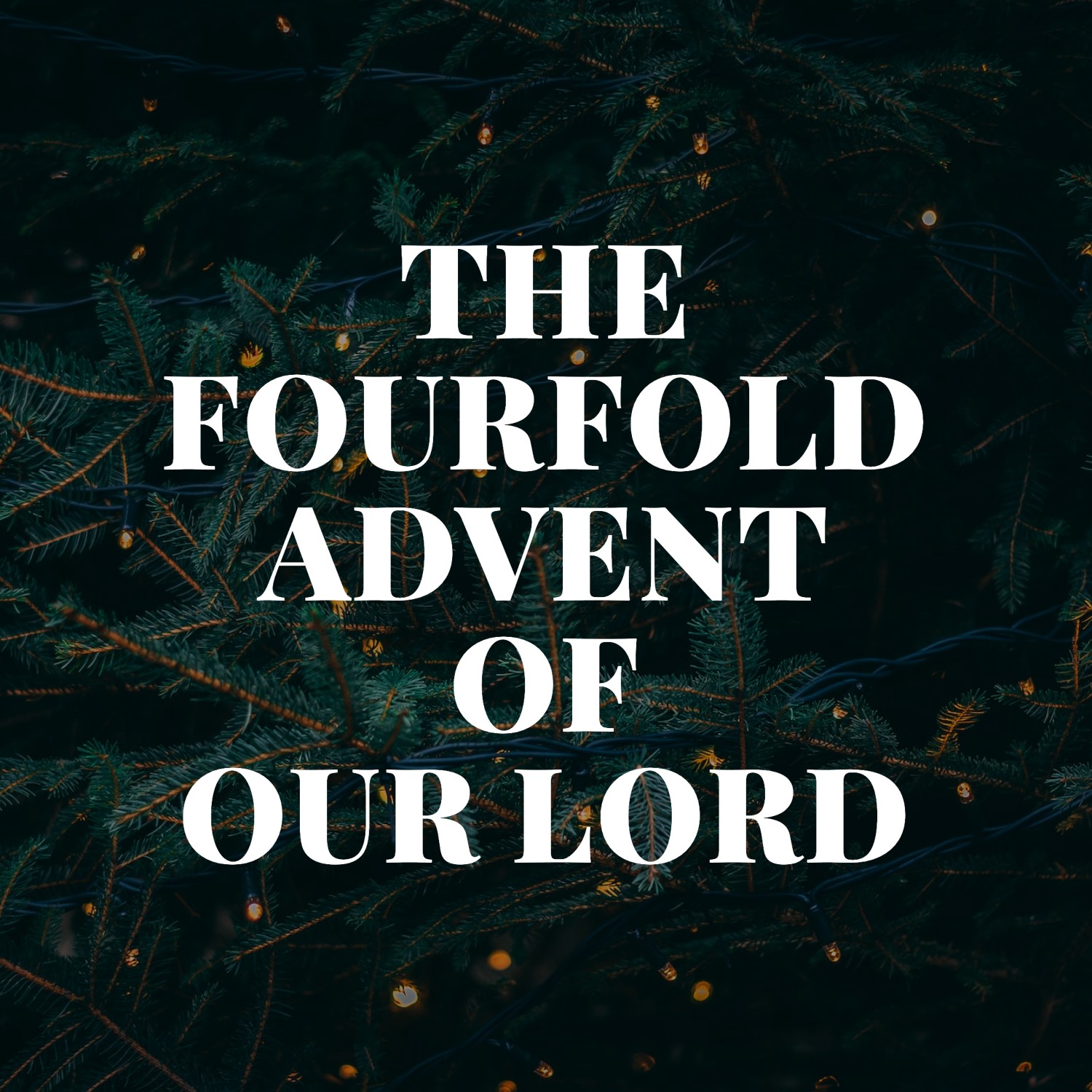 Ep. 179 - Christmas Eve Homily | The Fourfold Advent of Our Lord | Aaron Ventura
