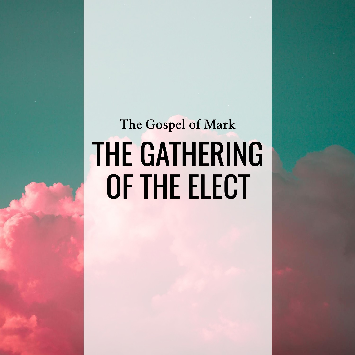 Ep. 206 - Mark 13:27 | The Gathering of the Elect | Aaron Venture