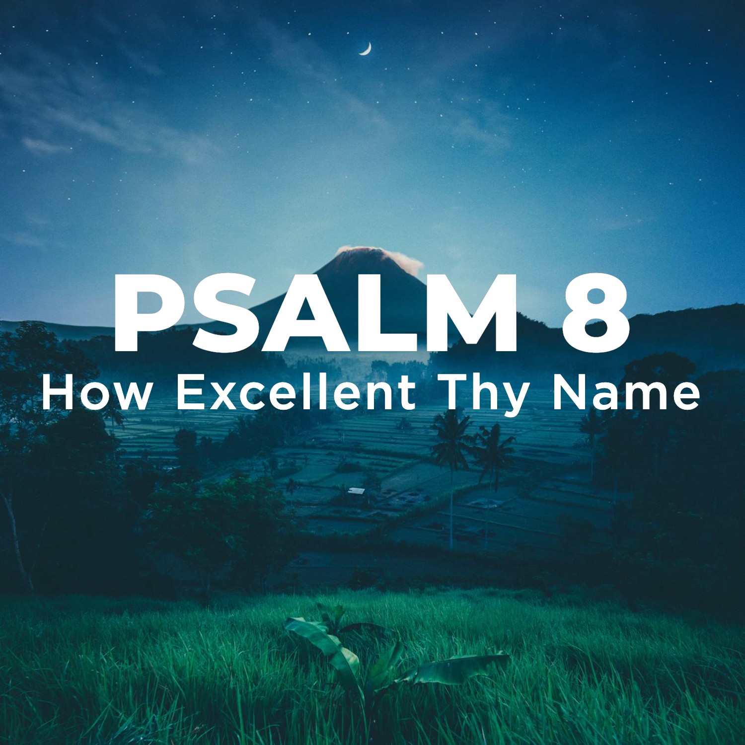 Ep. 214 - Psalm 8 | How Excellent Thy Name | Aaron Ventura