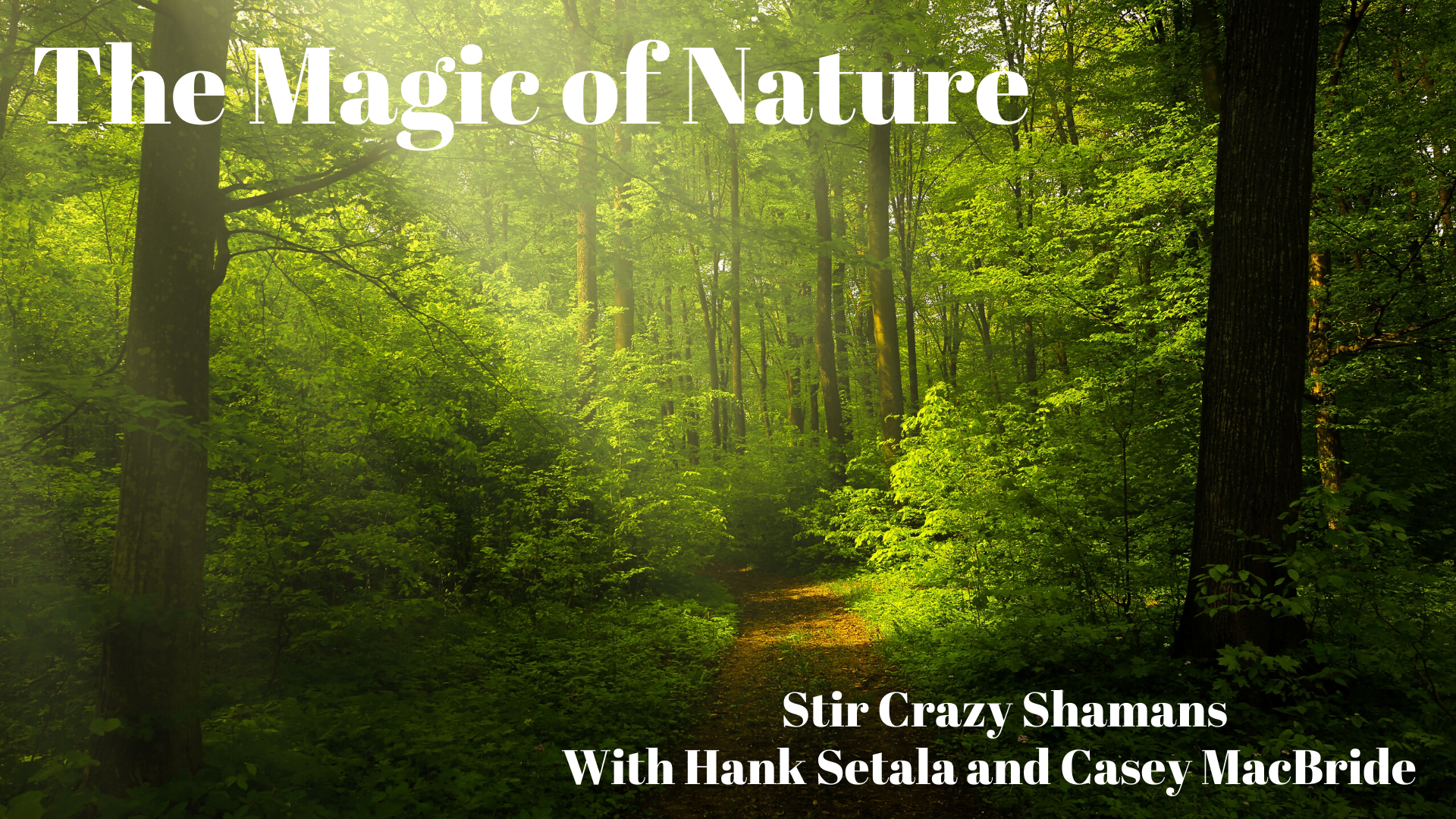 Stir Crazy Shamans