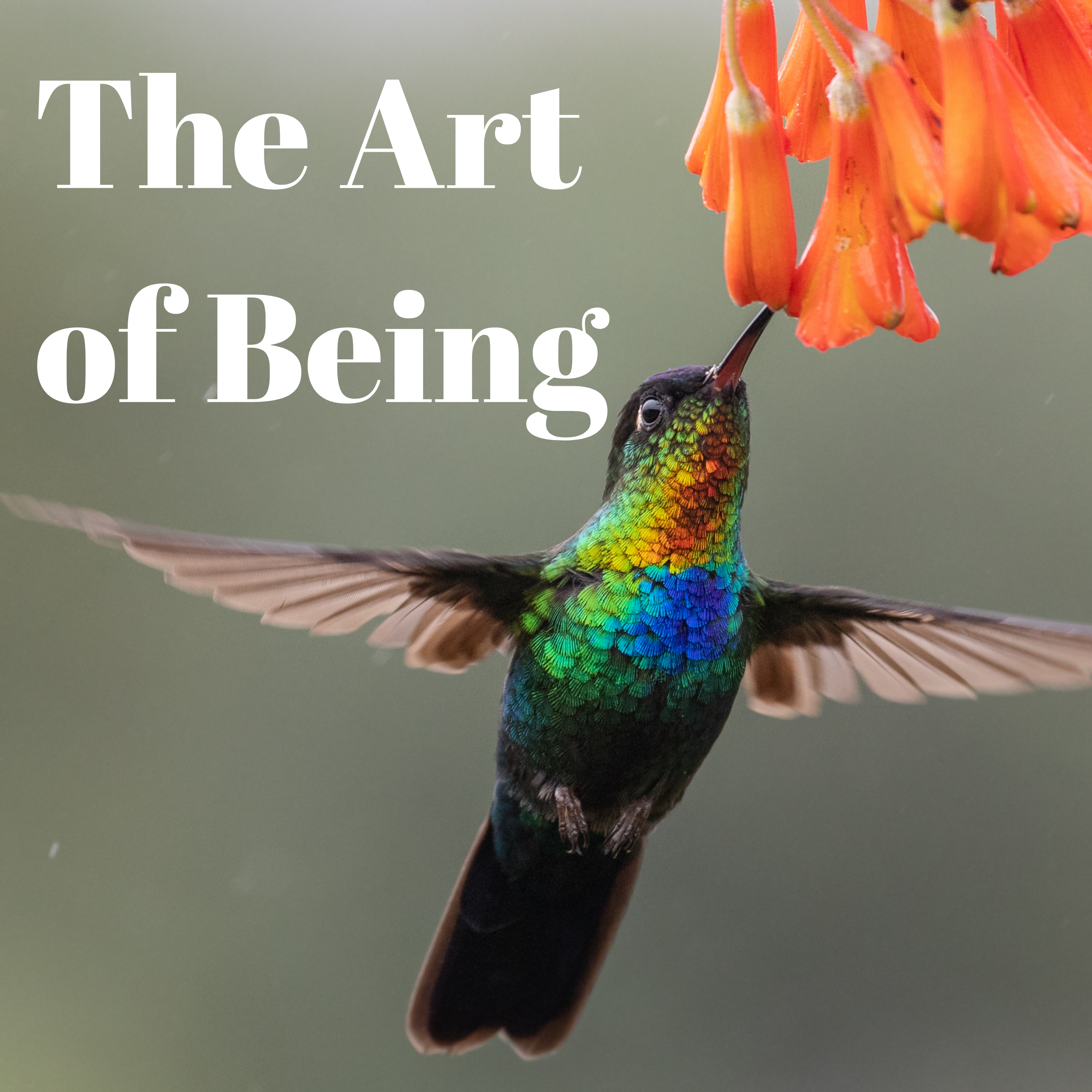 The Sonic Shaman