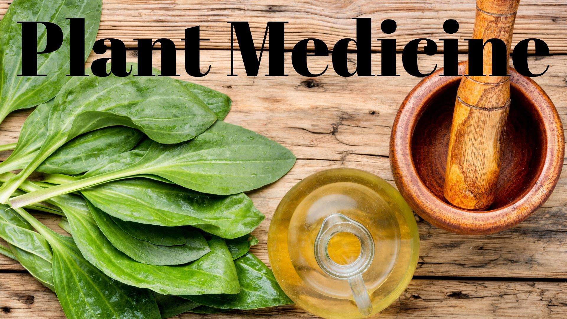 PLANT MEDICINE: Having a spiritual experience with any plant.