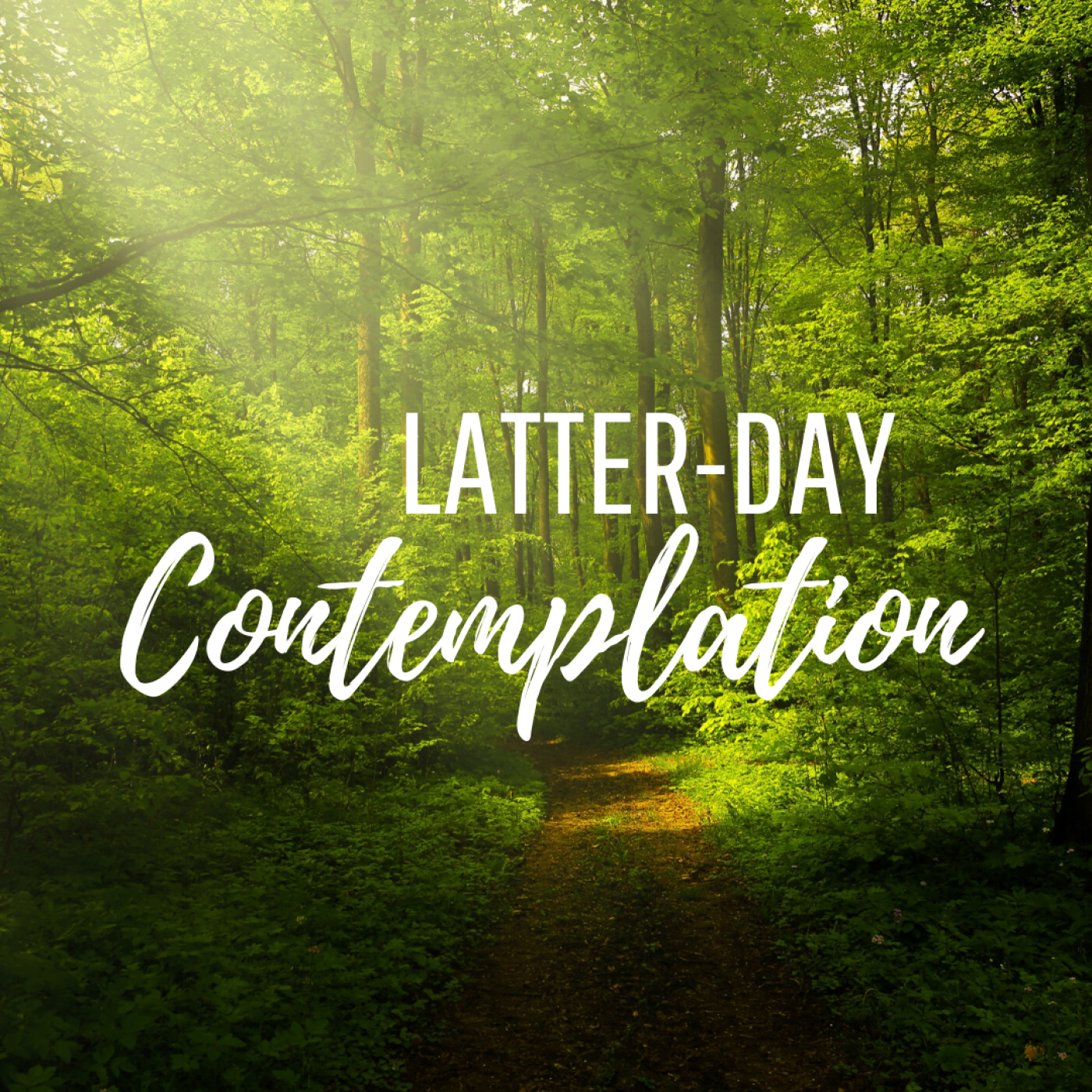 Episode 31: Contemplation and Action