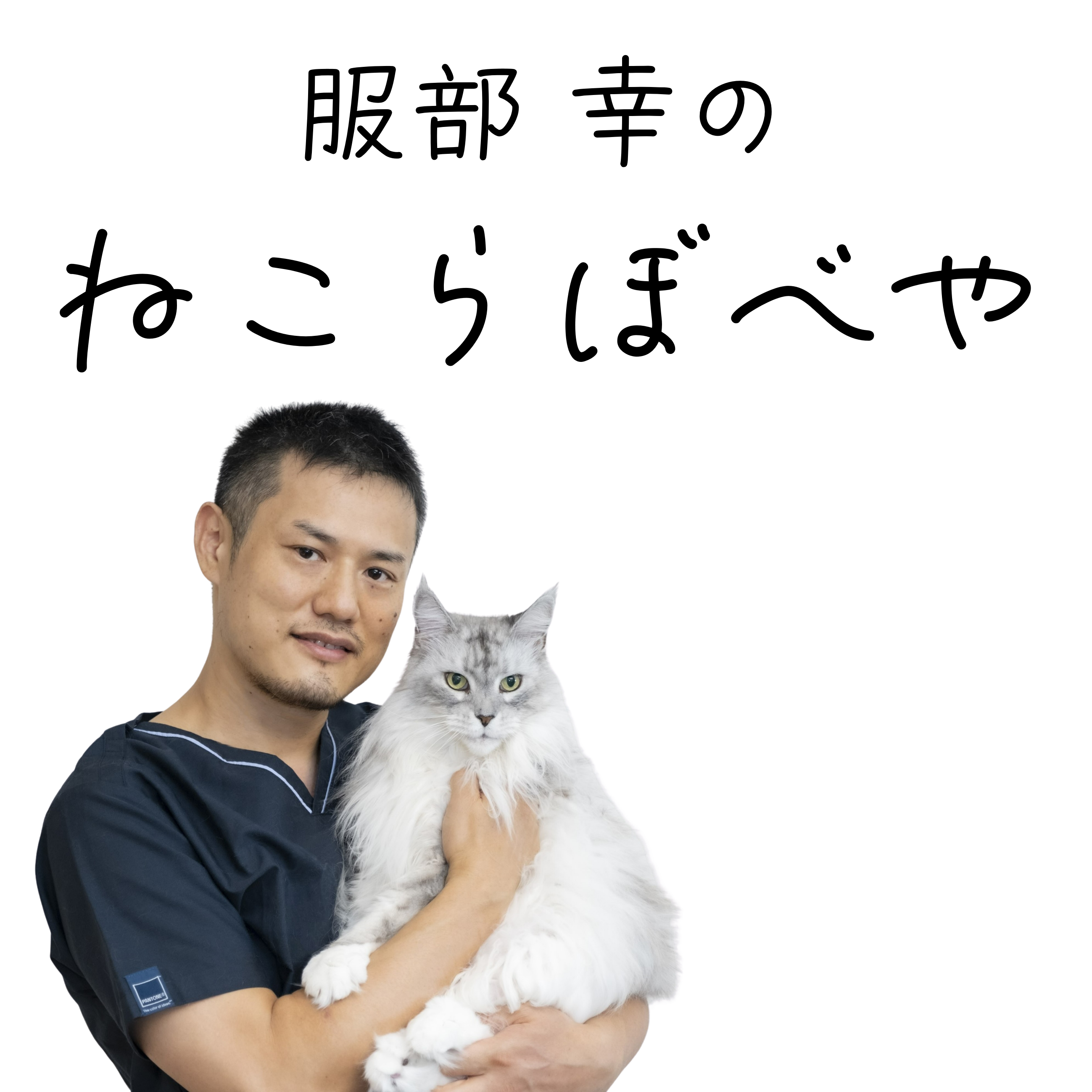 #1-3 二匹目の猫の迎え方