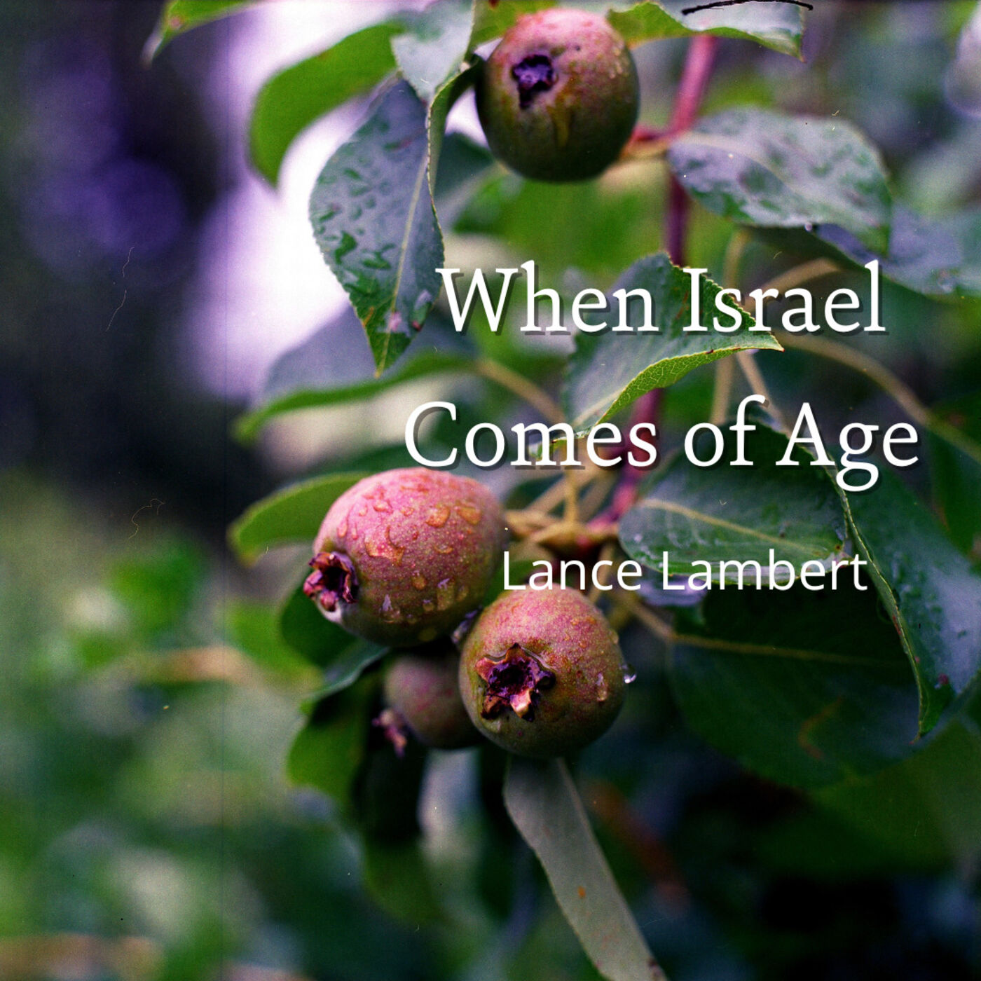 When Israel Comes of Age — The 40th Anniversary (1987)