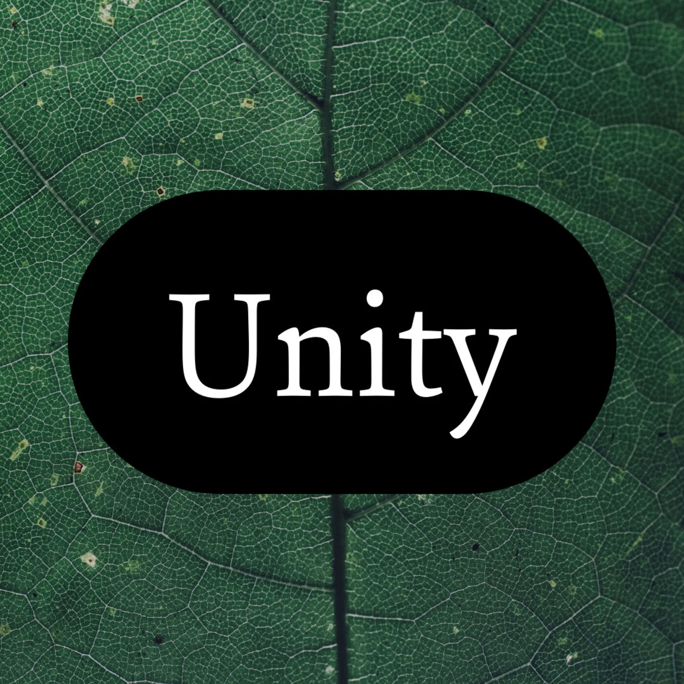 NEW BOOK: Unity