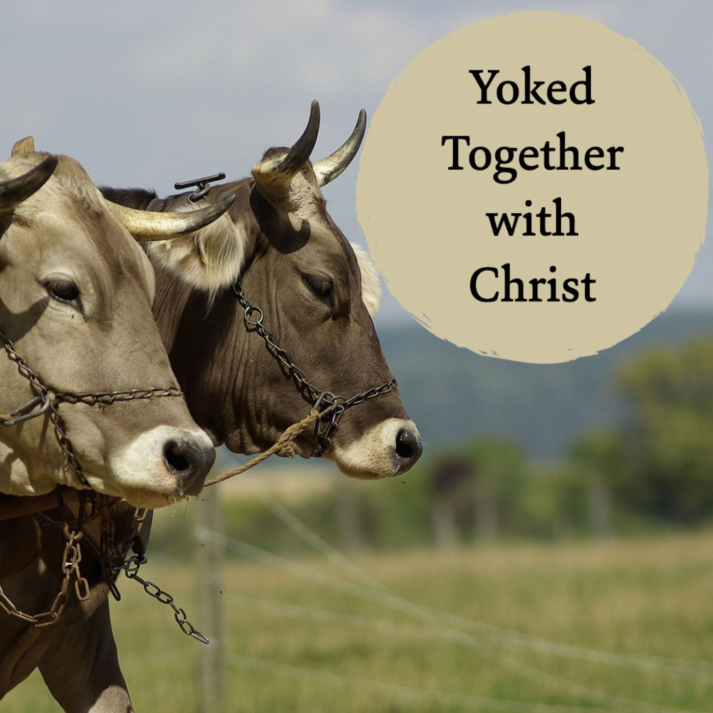 Yoked Together With Christ