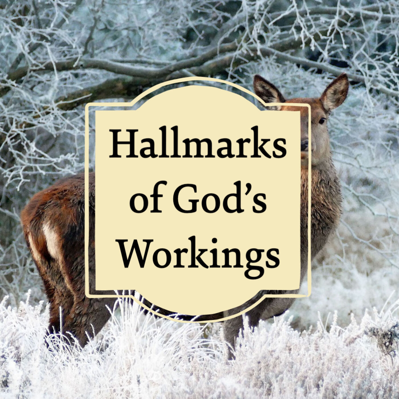 Hallmarks of God's Workings
