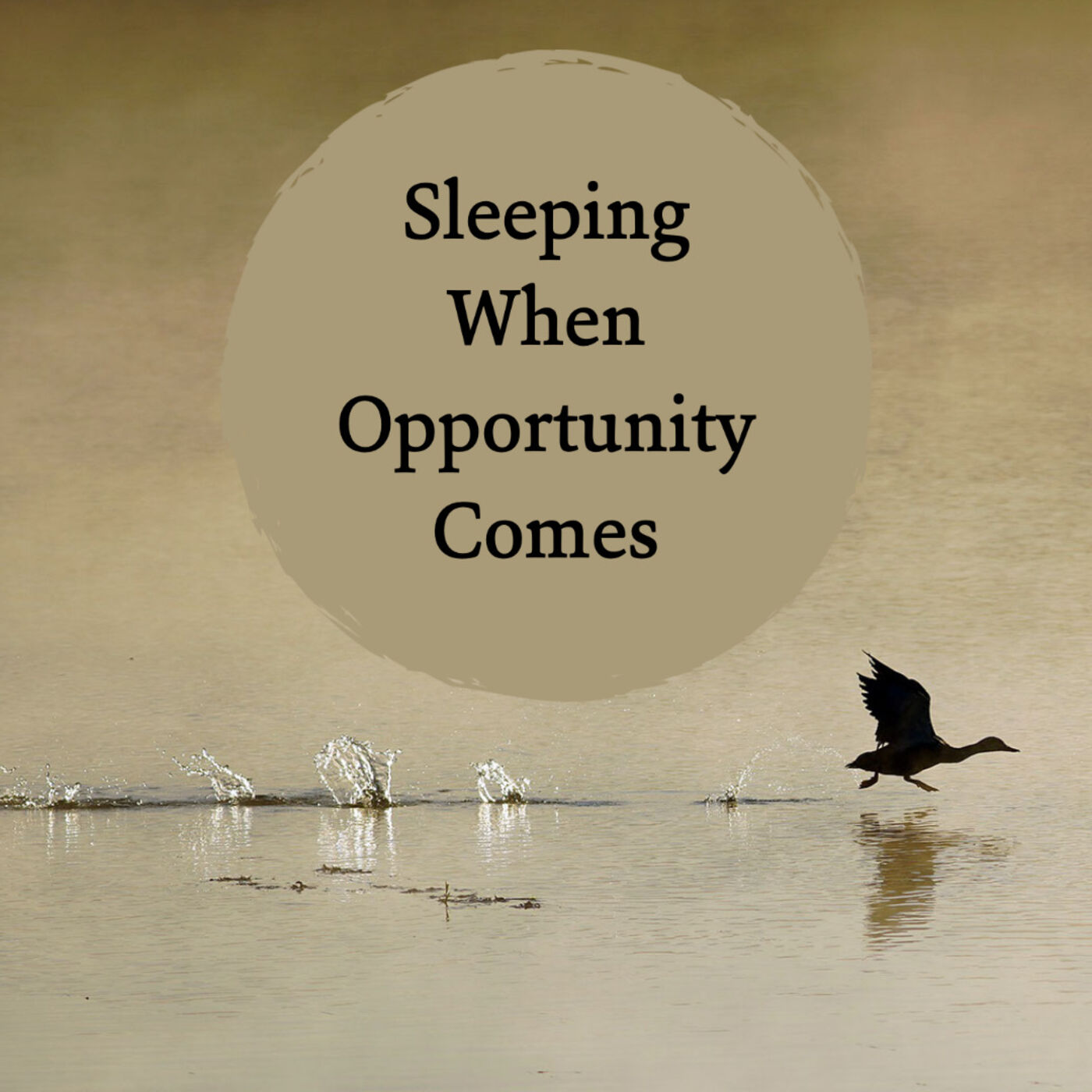 Sleeping When Opportunity Comes