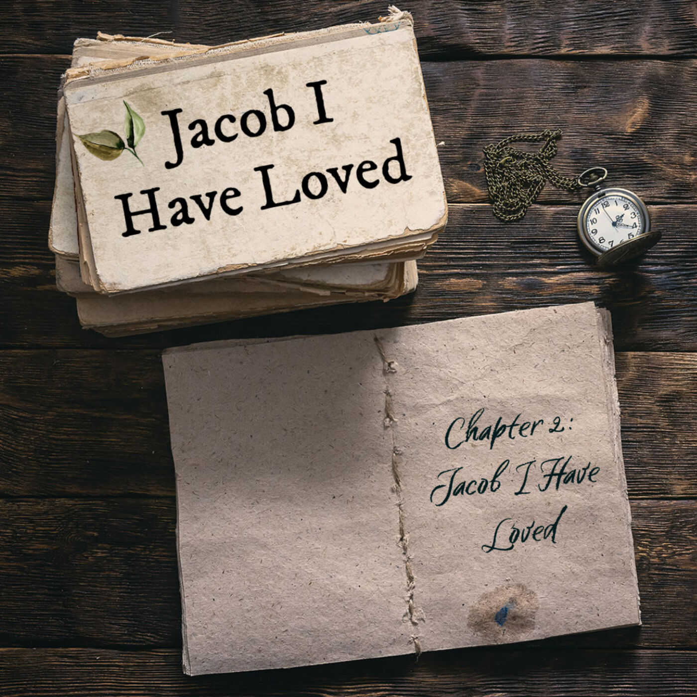 Jacob I Have Loved Audiobook Chapter 2: Jacob I Have Loved
