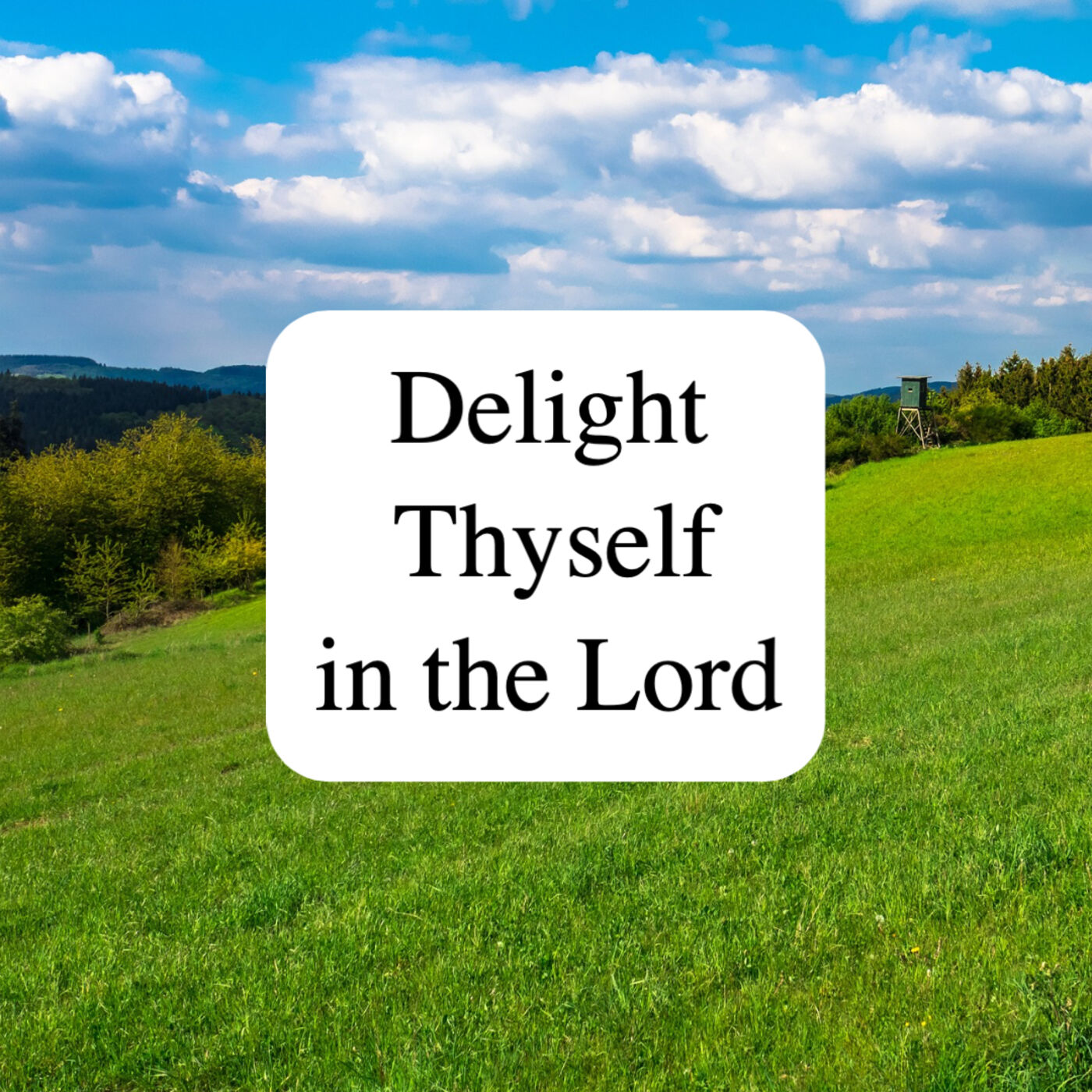 Delight Thyself in the Lord