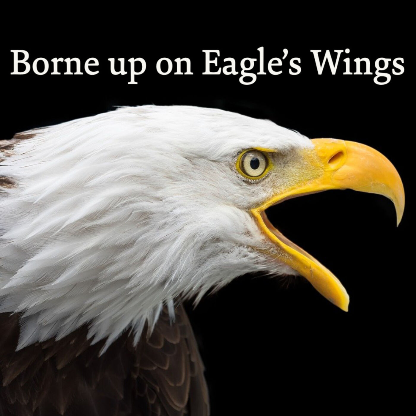 Borne Up on Eagle's Wings