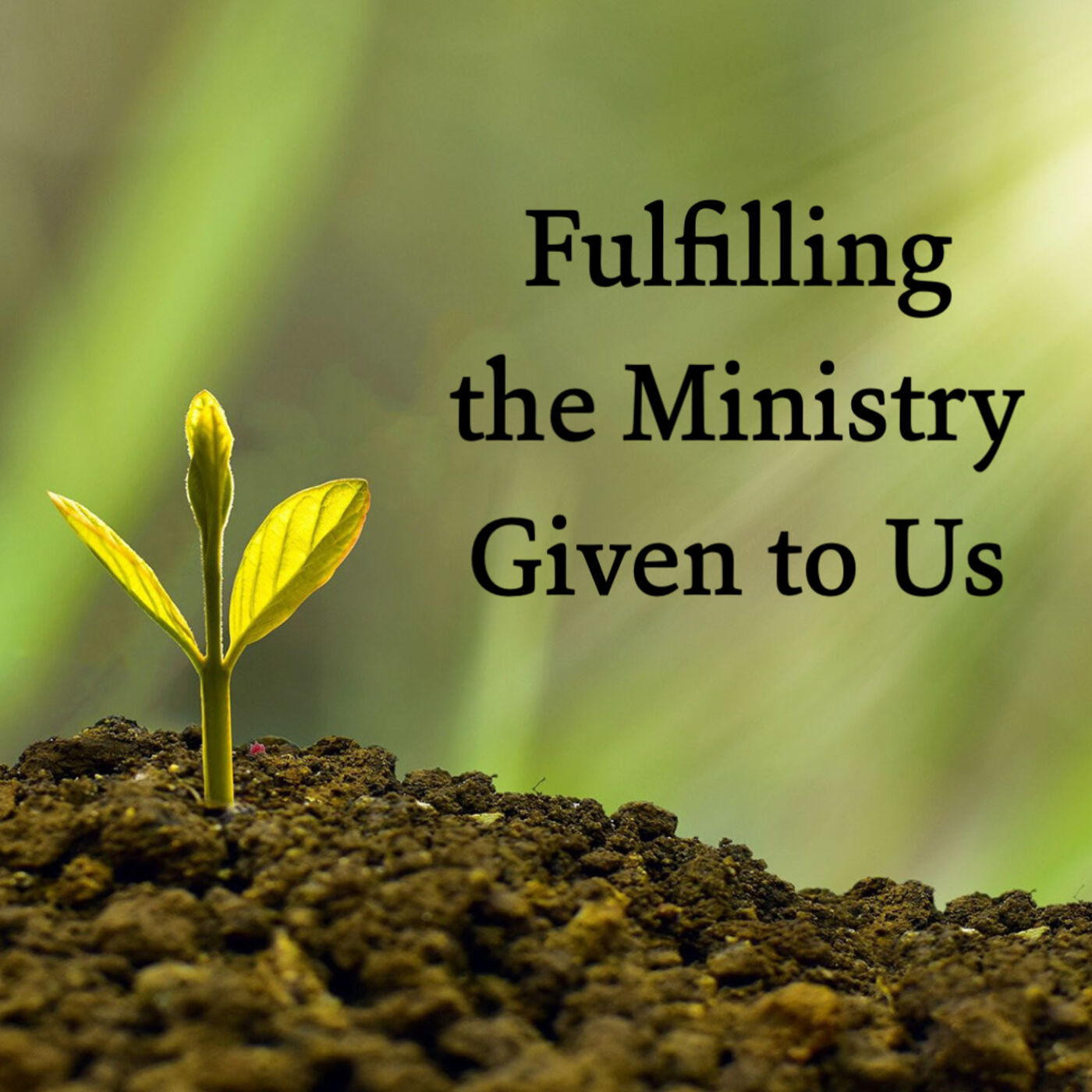 Fulfilling the Ministry Given to Us