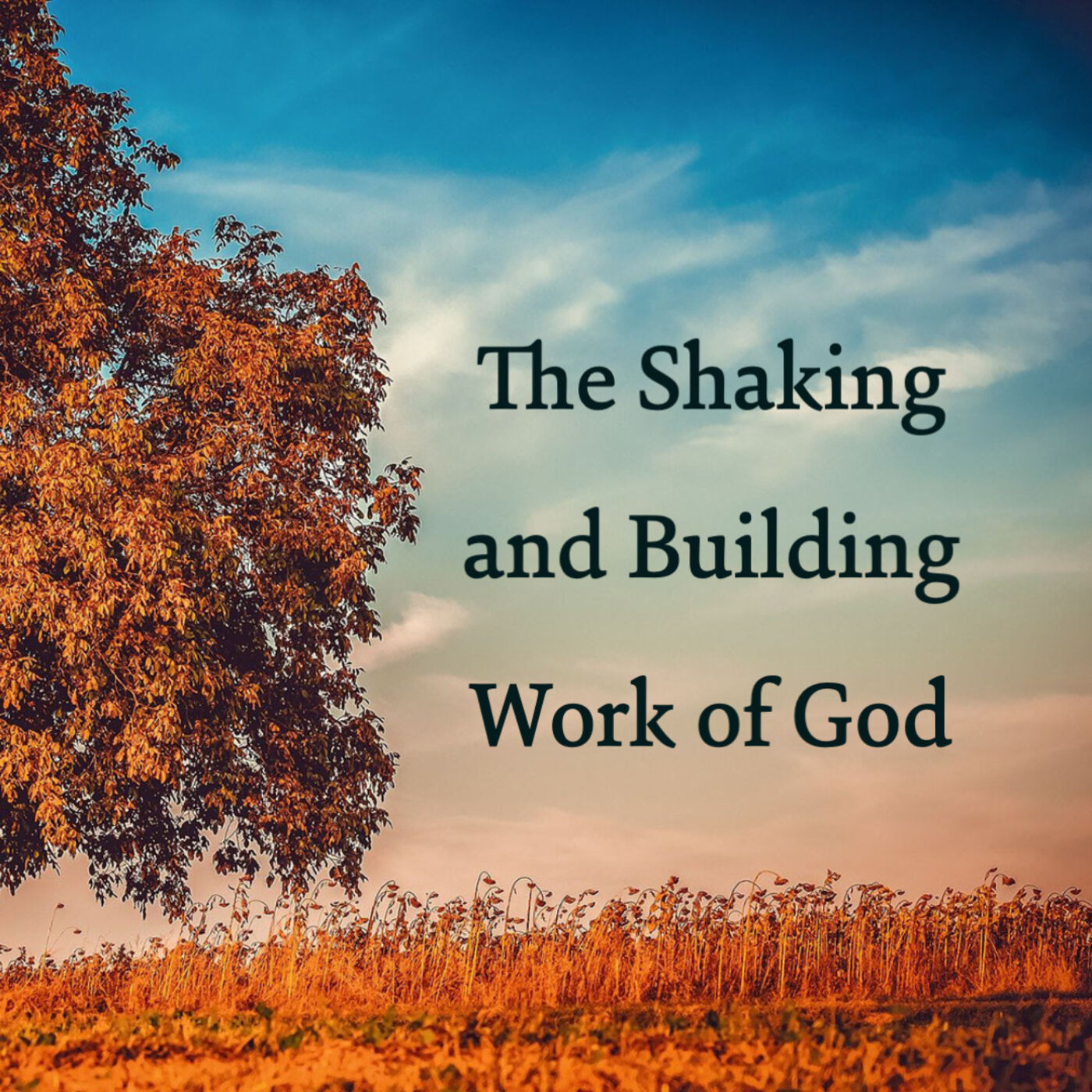 The Shaking and Building Work of God