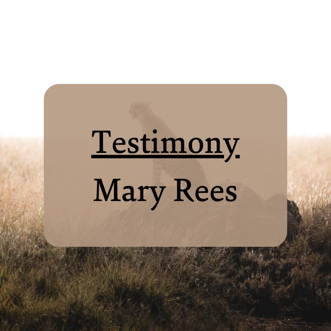 The Testimony of Mary Rees — Congo