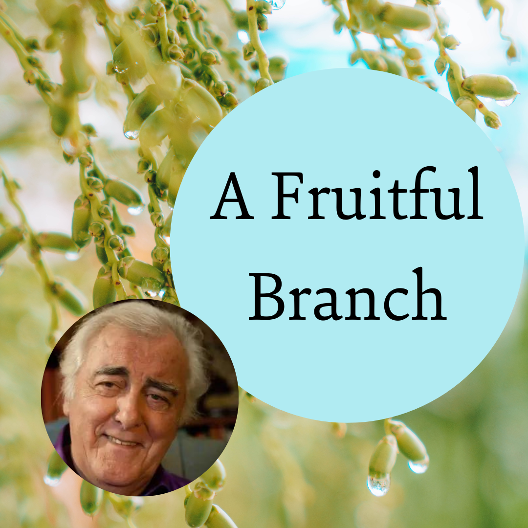 A Fruitful Branch