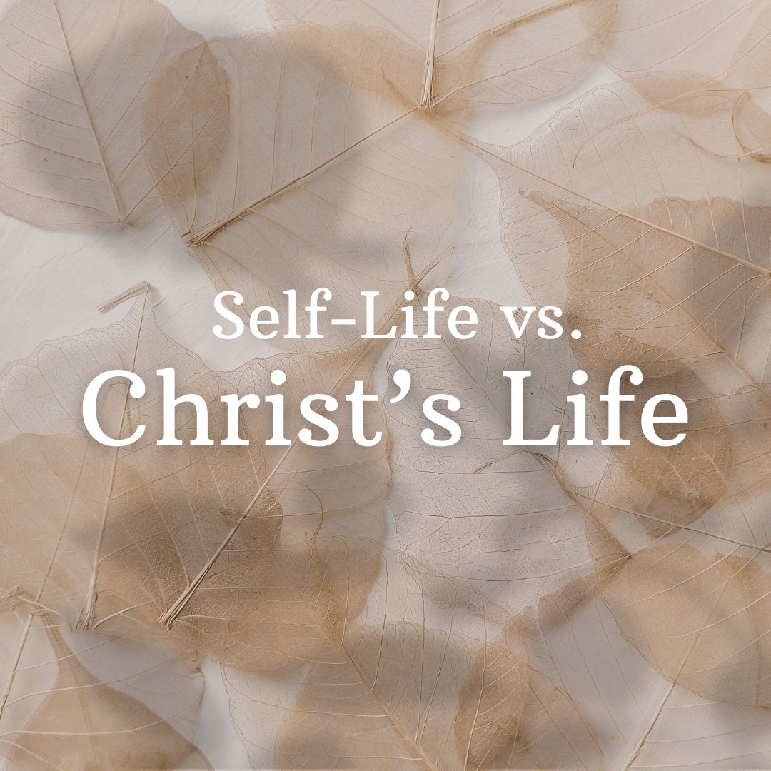 Self-Life vs Christ's Life