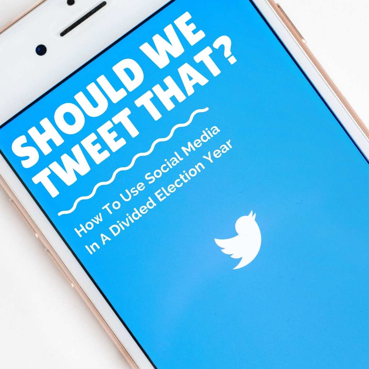 Should We Tweet That? How To Use Social Media In A Divided Election Year