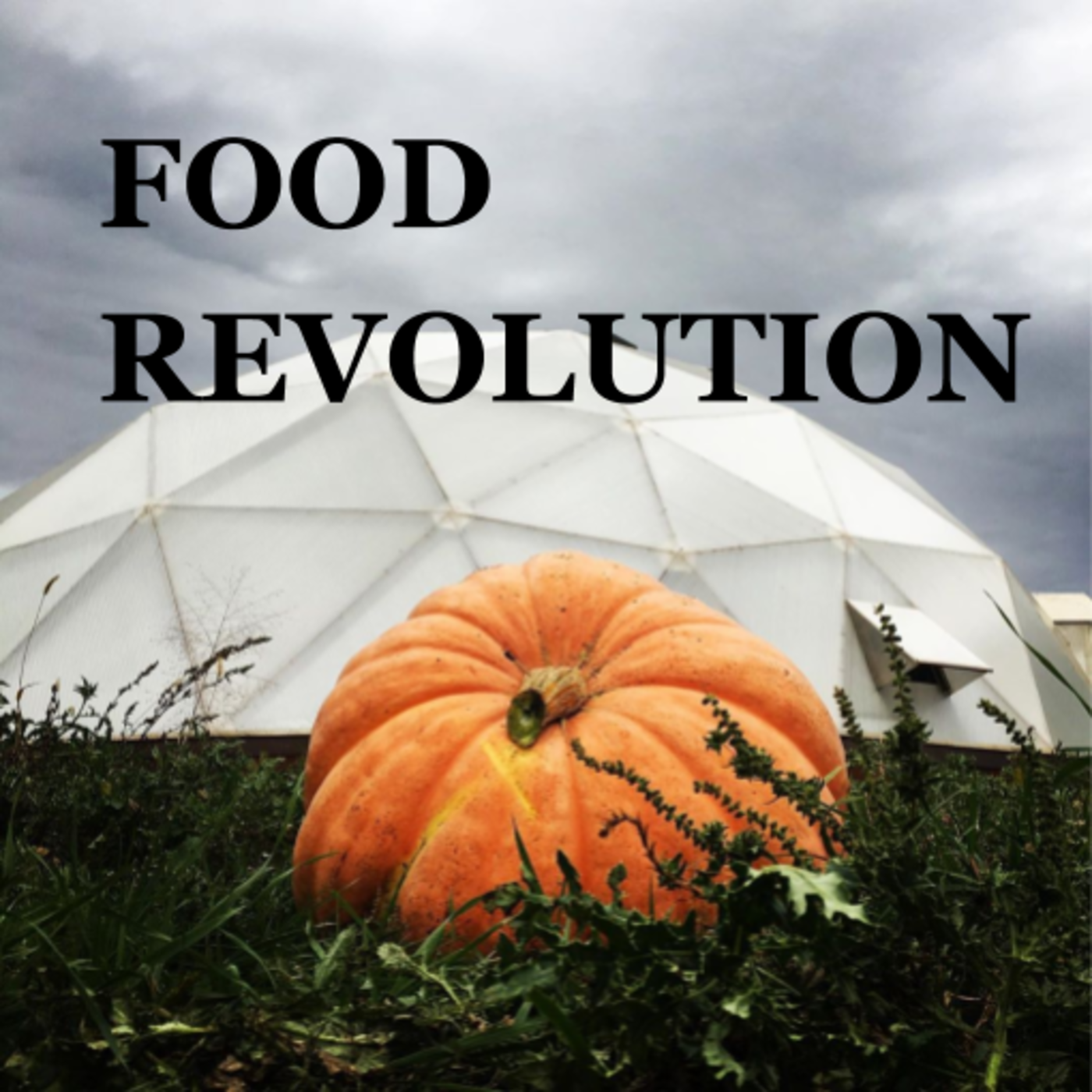 Welcome to the Sicangu Food Revolution