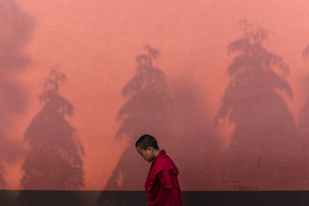 Buddhism 101: Buddhist Belief in Past & Future Life - Ep. 2