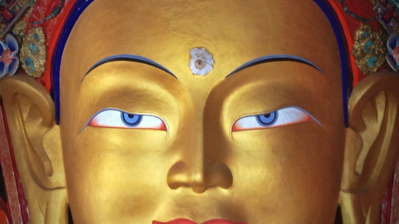 Episode Cover