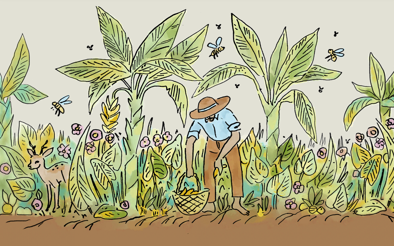Episode Cover