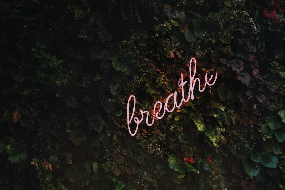 Buddhism 101 : Meditation + Realization - Ep. 11