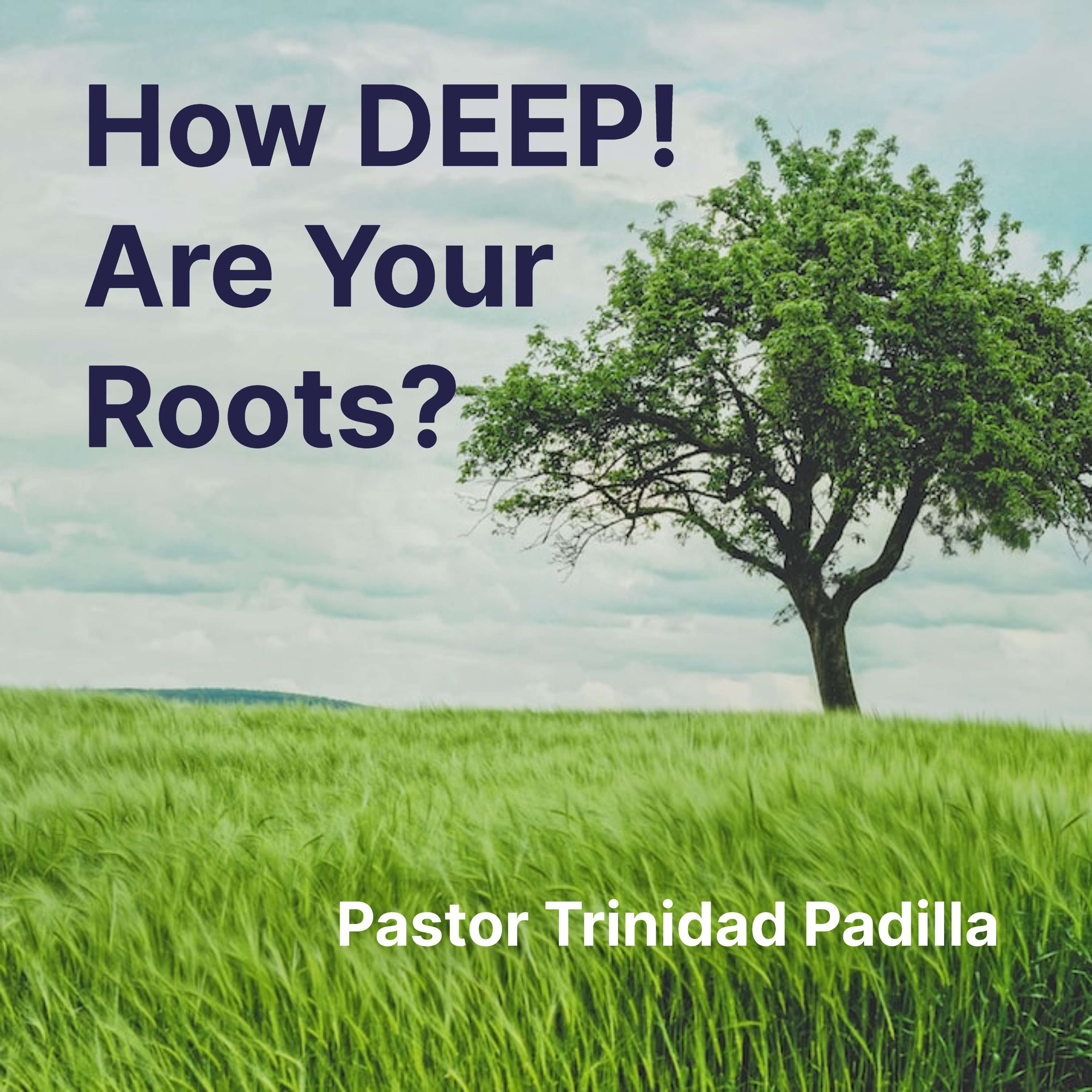 How Deep Are Your Roots? - Trinidad Padilla