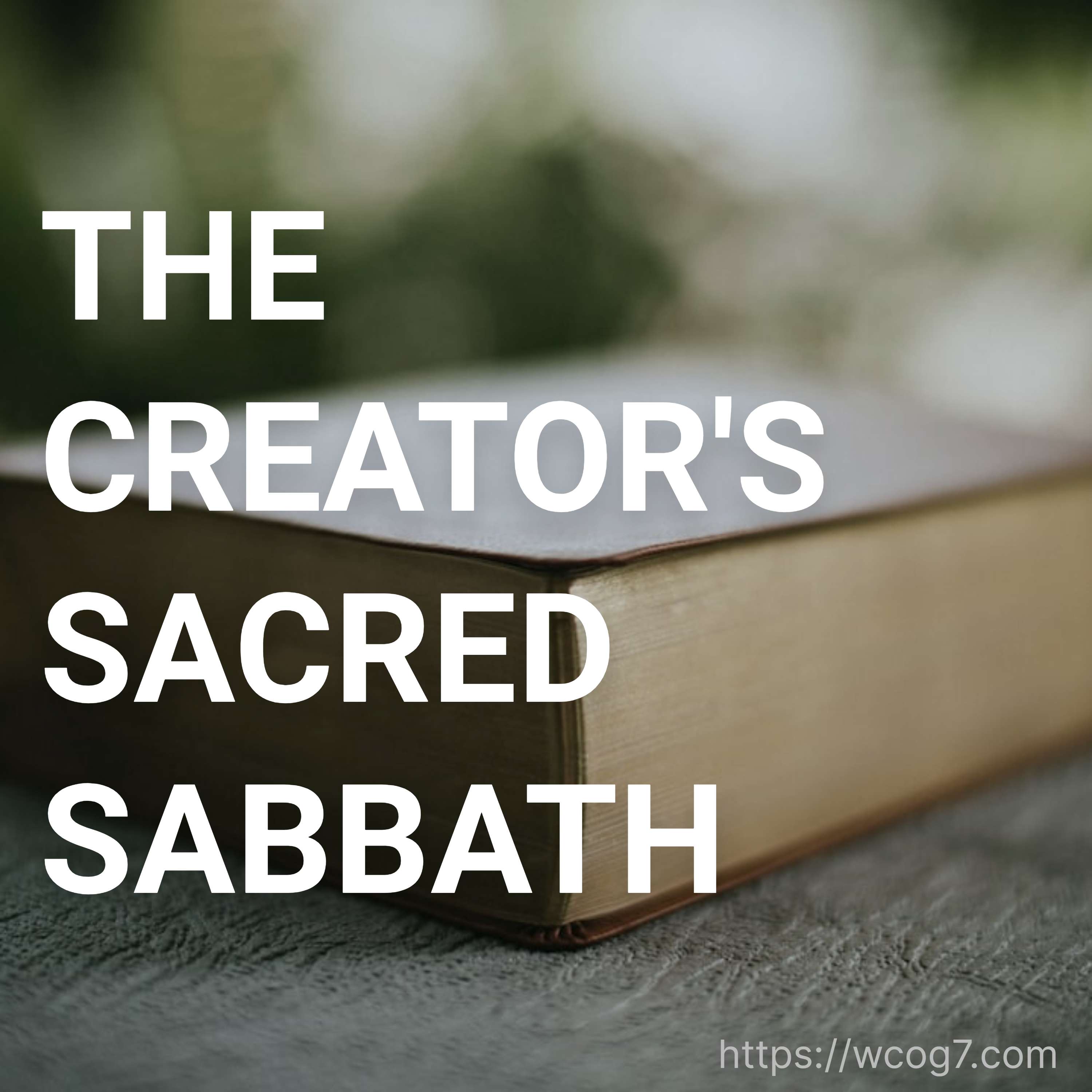 The Creator's Sacred Sabbath - Trinidad Padilla