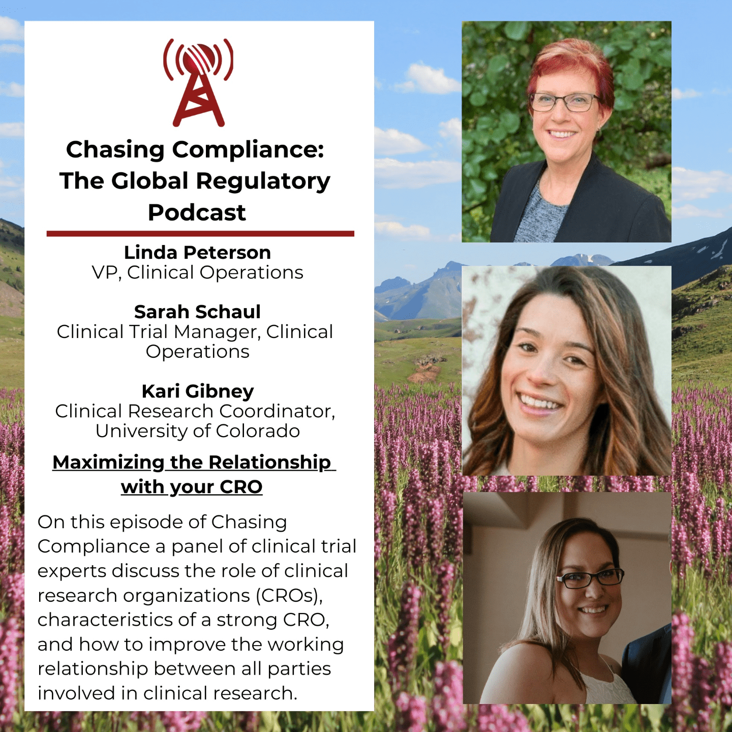 Maximizing the Relationship with A Clinical Research Organization (CRO) - A Panel Discussion with Linda Peterson, Sarah Schaul, and Kari Gibney