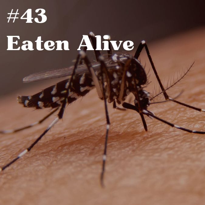 Update #43: Eaten Alive