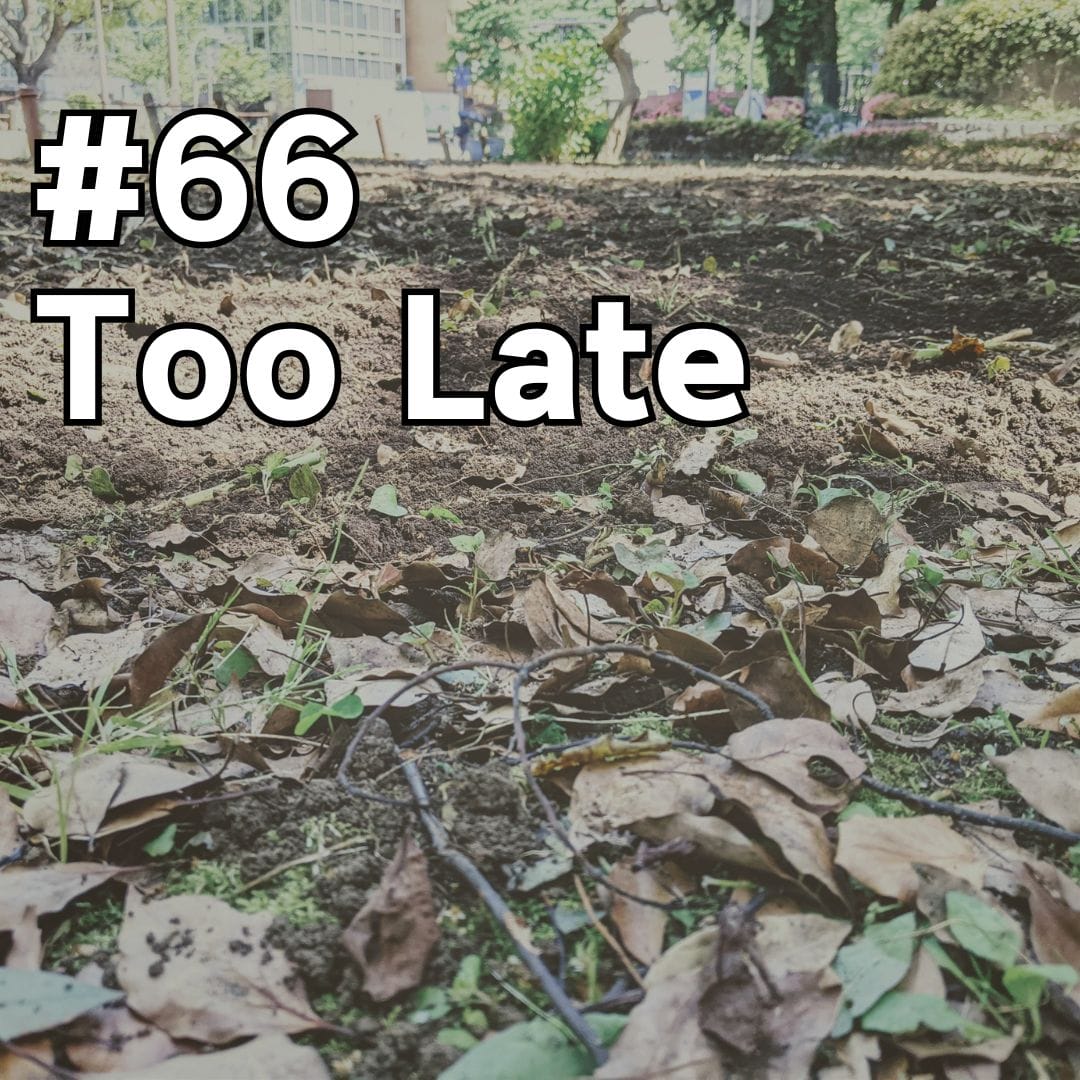 Update #66: Too Late