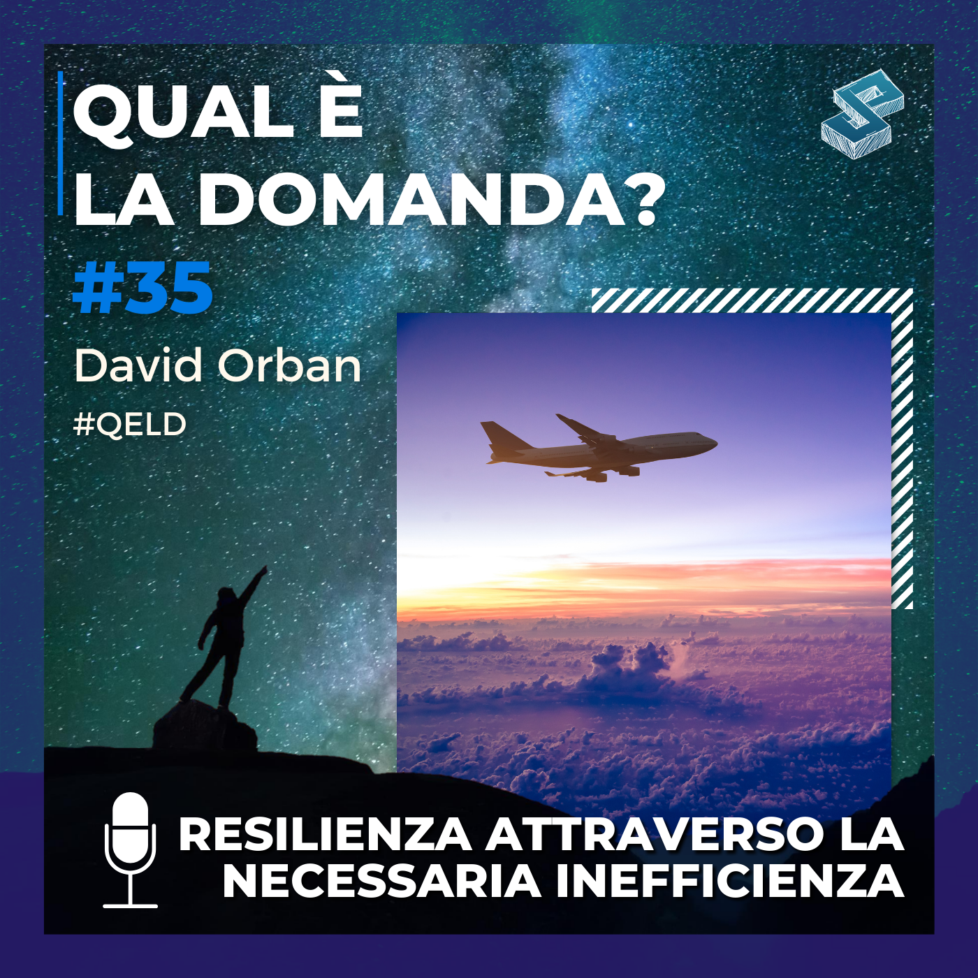 Resilienza attraverso la necessaria inefficienza - QELD #35