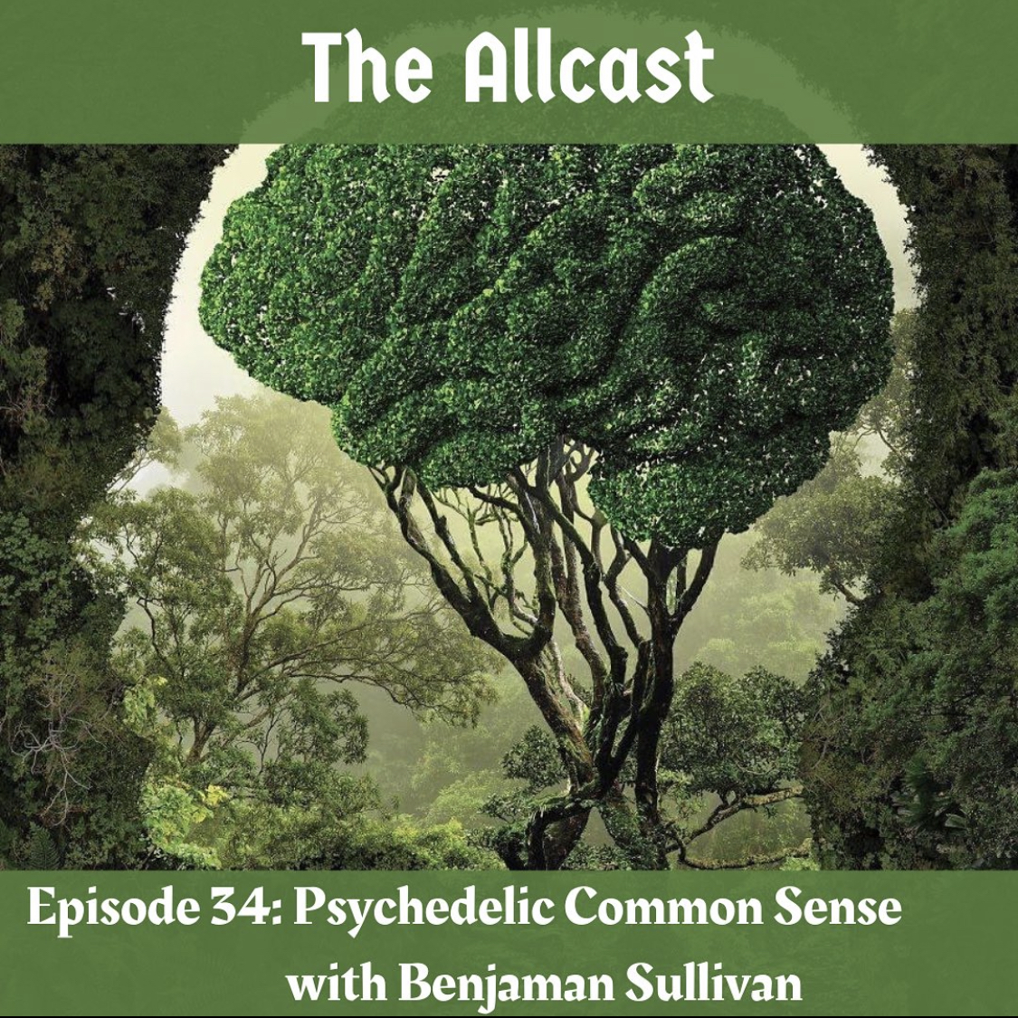 34: Psychedelic Common Sense with Benjaman Sullivan 
