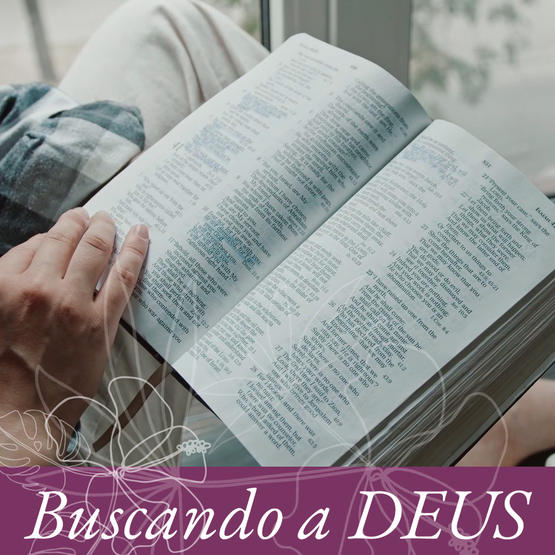 Deixando a Bíblia permear sua vida