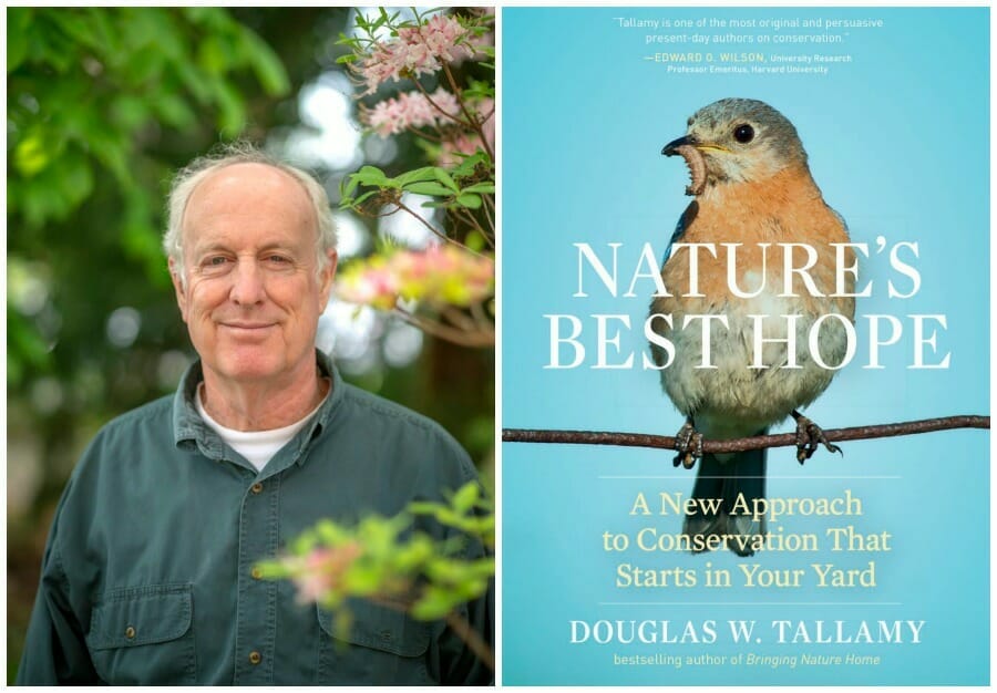 Nature's Best Hope with Professor Douglas Tallamy A New Approach to Conservation that Starts in Your Yard