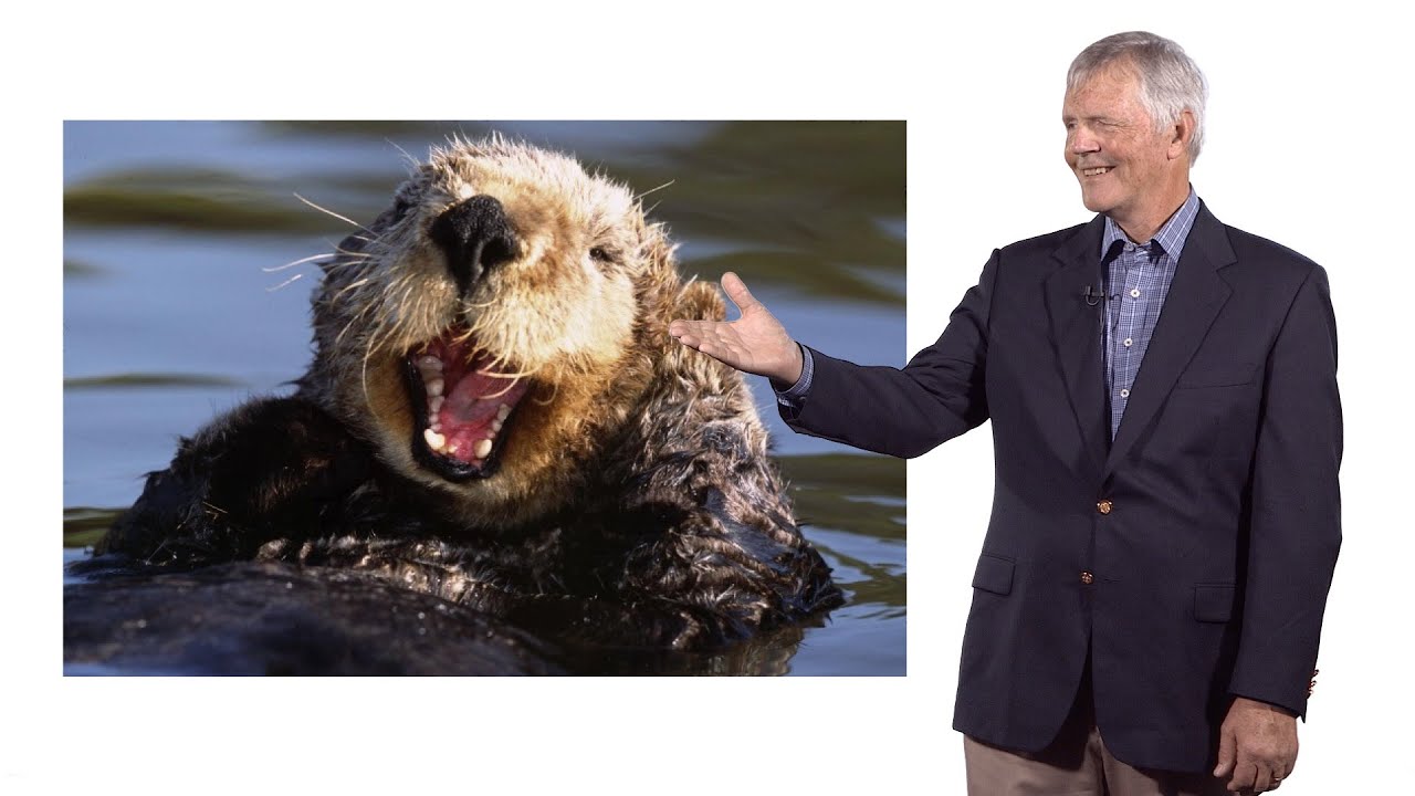 There Otter be a Law! Will the Southern Sea Otter Survive? A conversation with James Estes