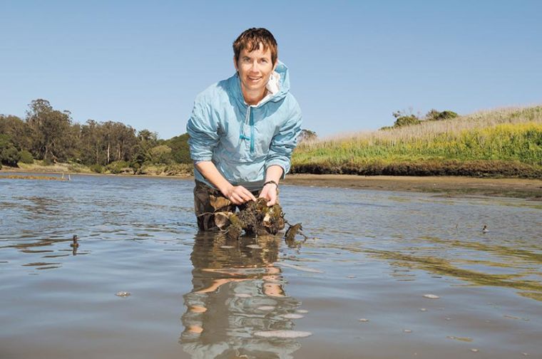 What’s slough? I don’t know, what’s slough with you? with Dr. Kerstin Wasson, Elkhorn Slough