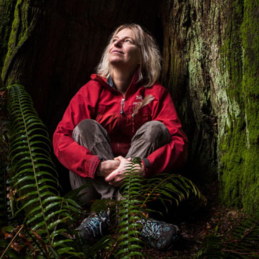 Finding the Mother Tree with Professor Suzanne Simard, University of British Columbia