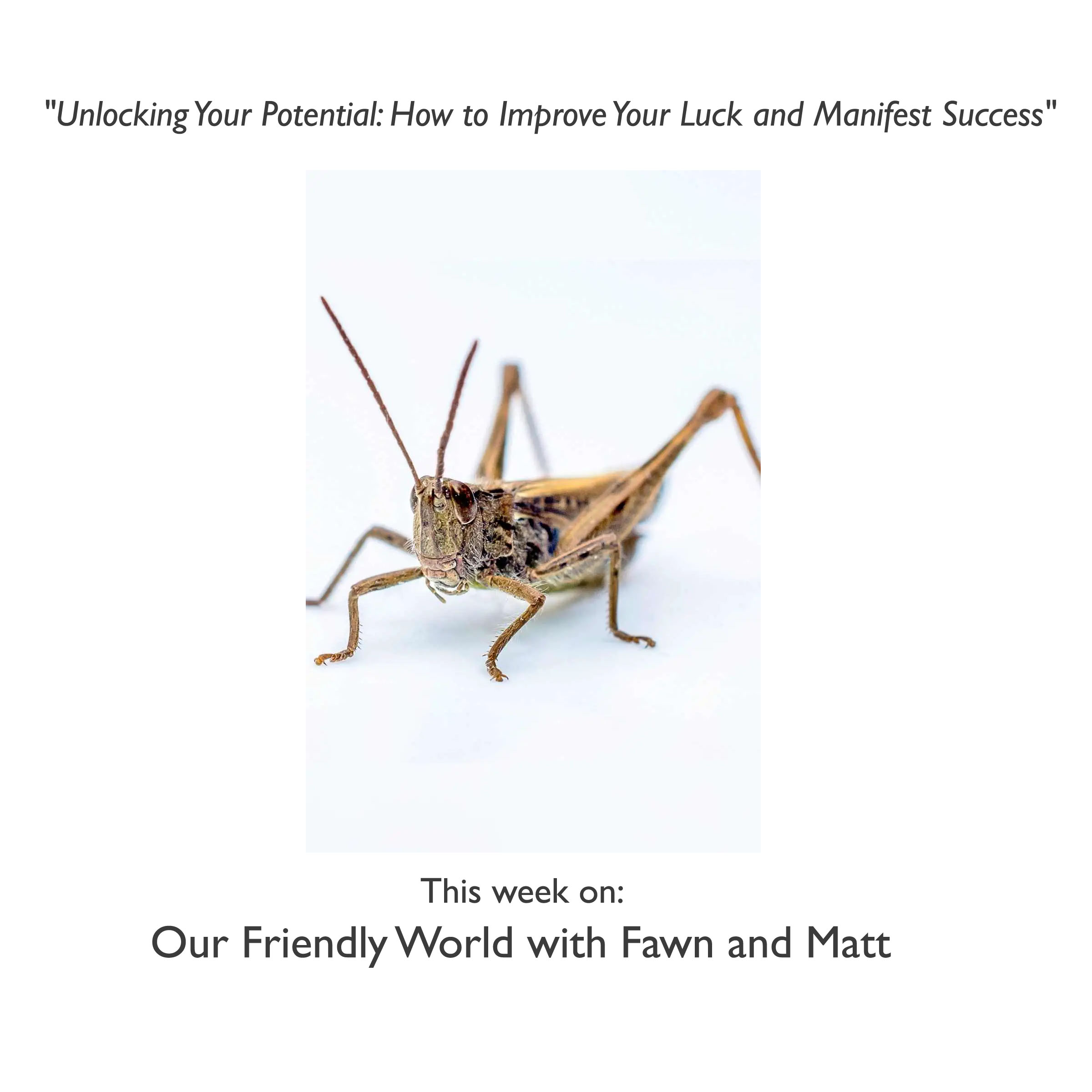 "Unlocking Your Potential: How to Improve Your Luck and Manifest Success"