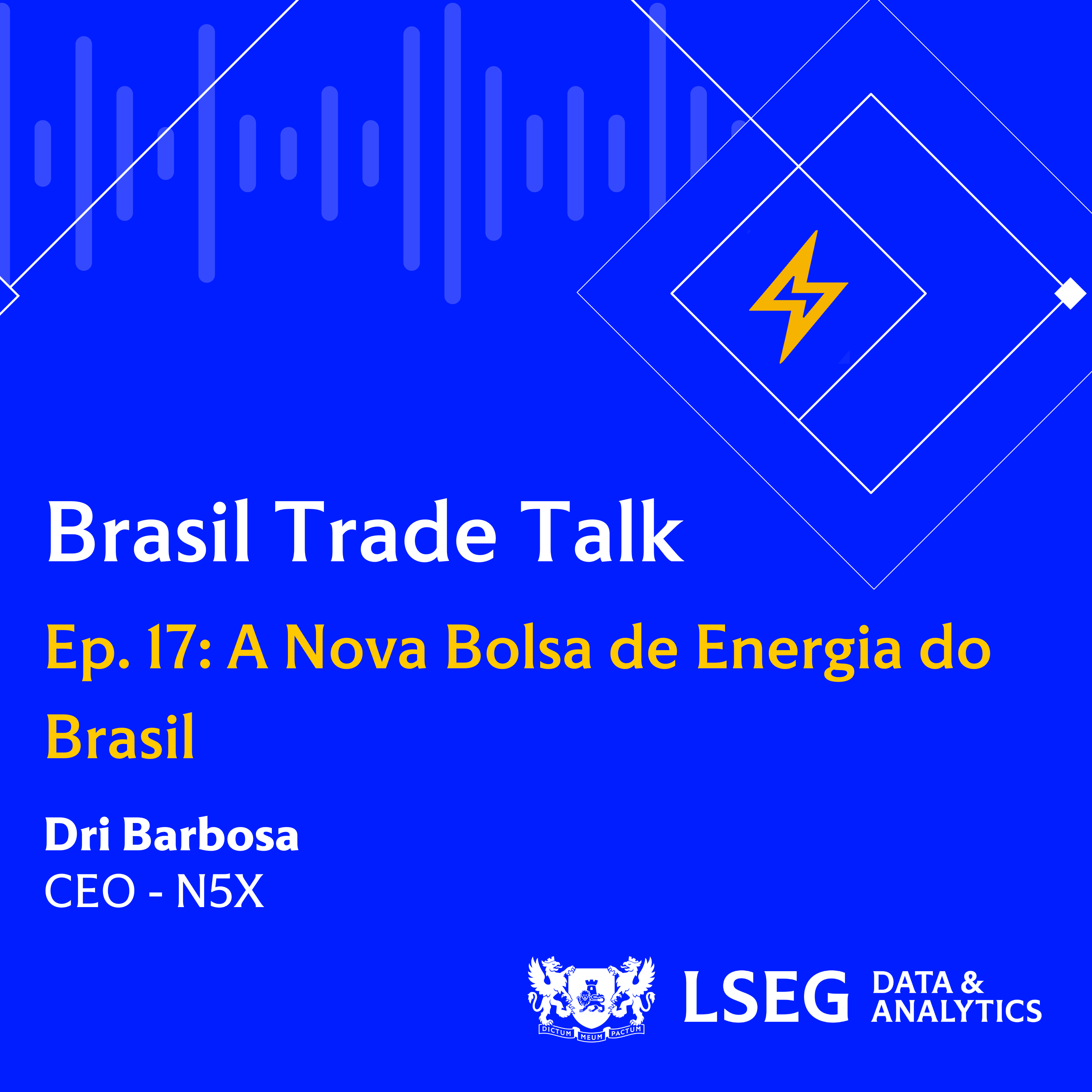 Ep17 | A Nova Bolsa de Energia do Brasil