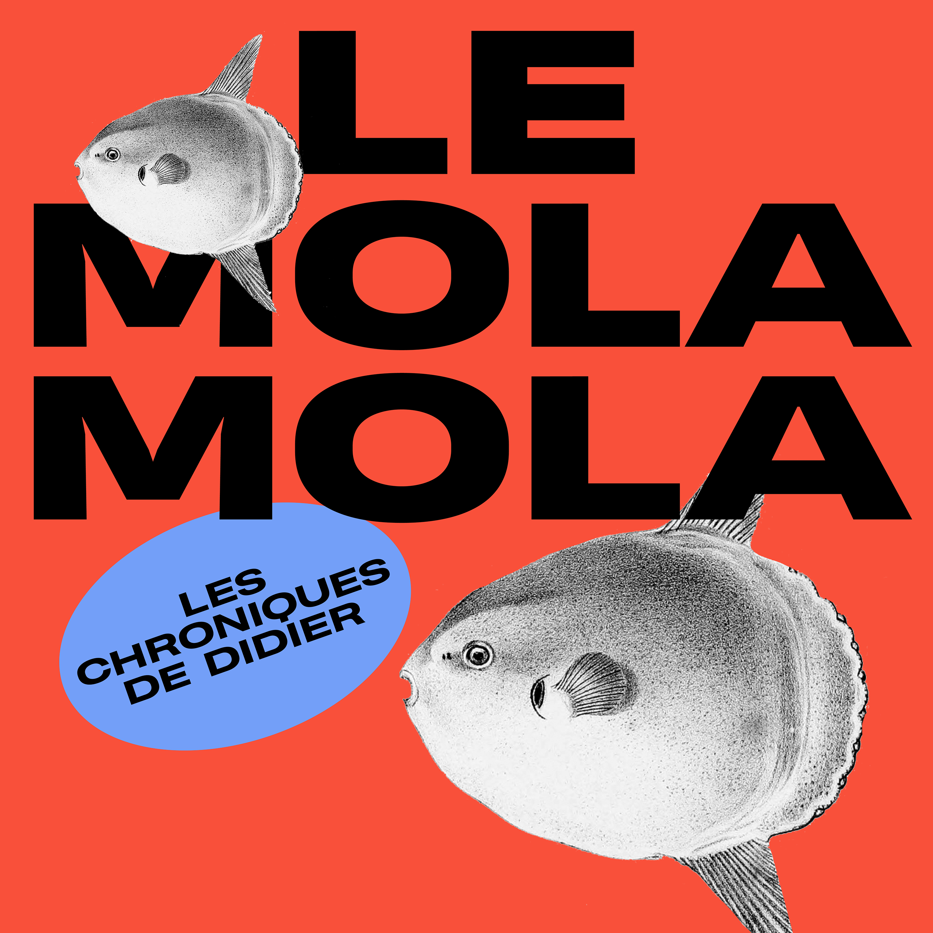 LE MOLA MOLA #30 - The Handmaid's Tale