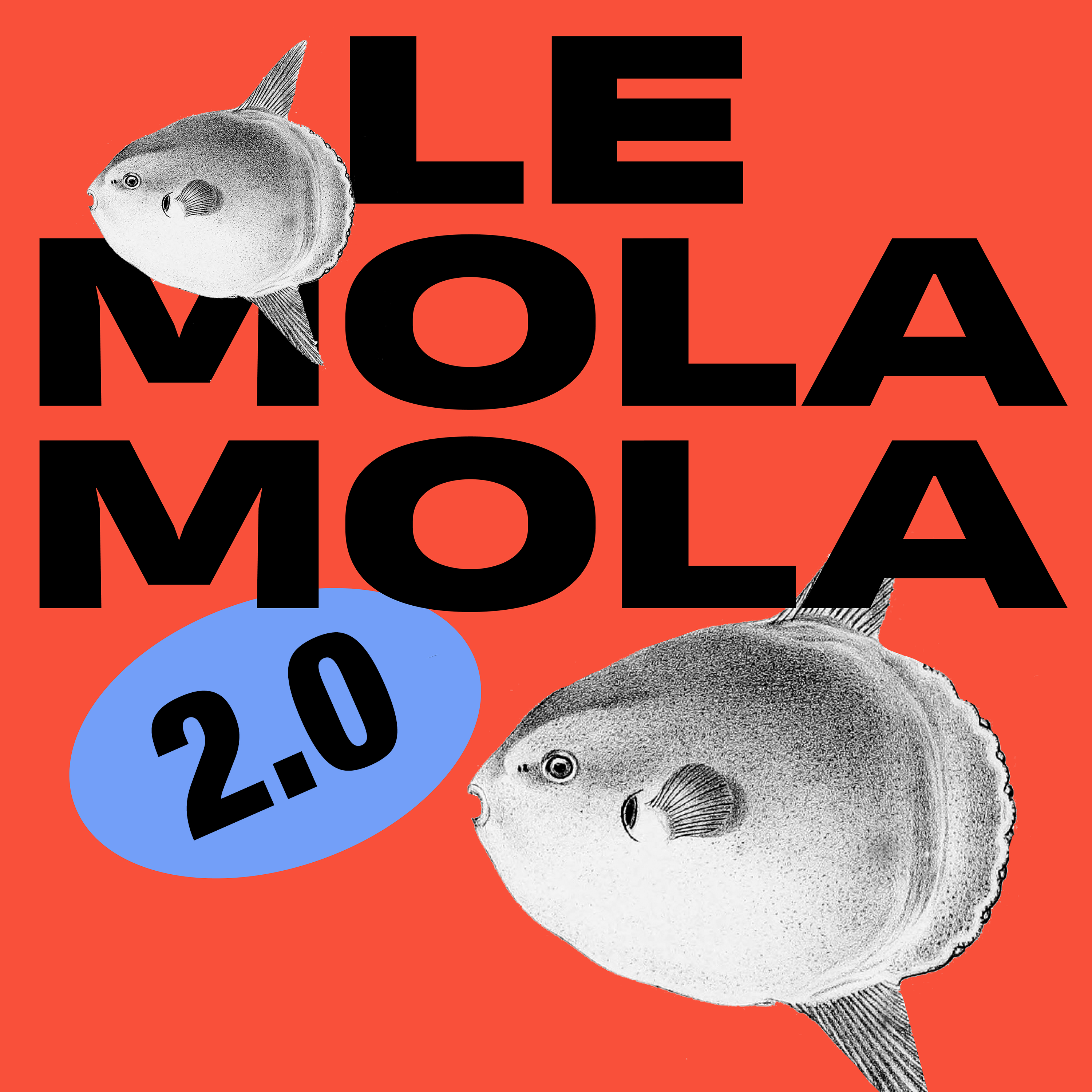 LE MOLA MOLA 2.0 #10 - Summer Edition - L'été indien