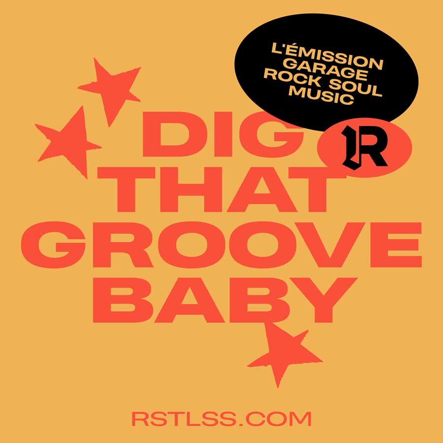 DIG THAT GROOVE BABY #6 - Toy Dolls, The Chats, Muddy Waters, King Coleman